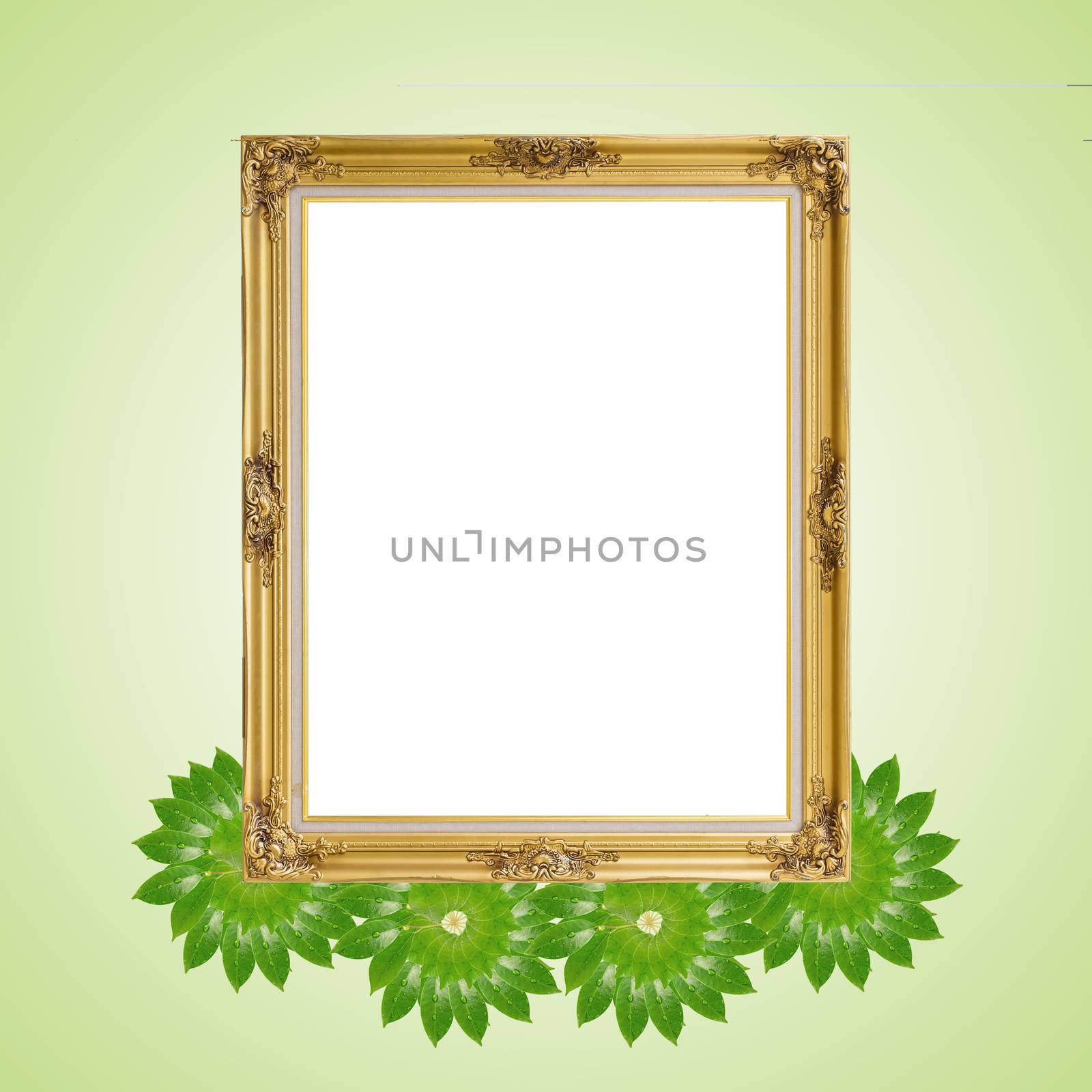 Gold louise and leaves photo frame isolated white background