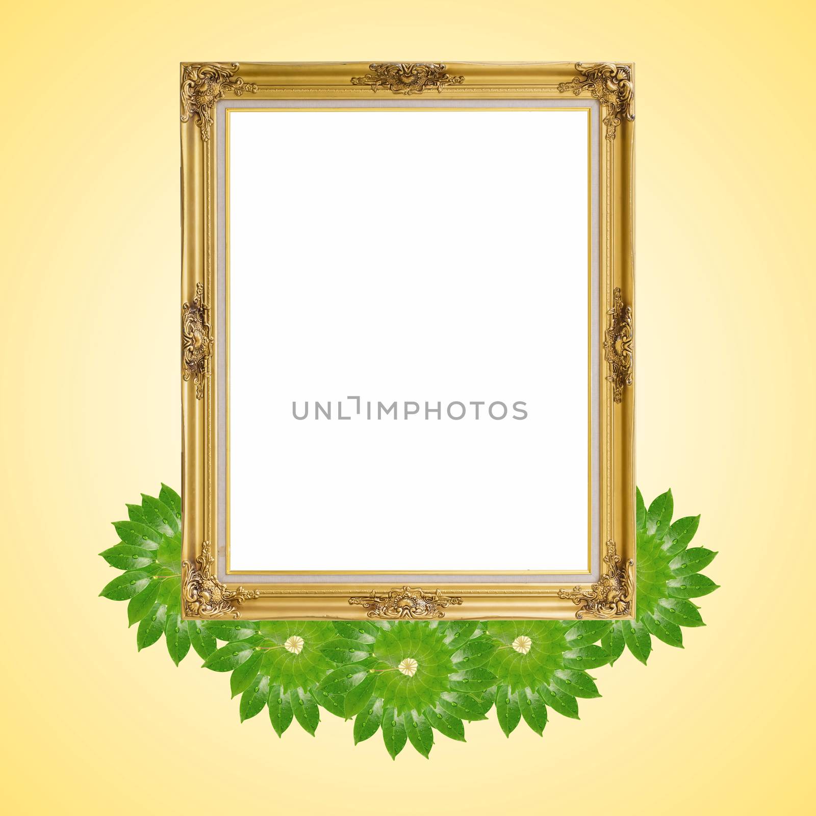 Gold louise and leaves photo frame isolated white background