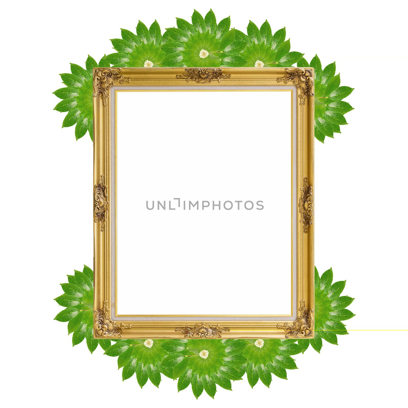 Gold louise and leaves photo frame isolated white background