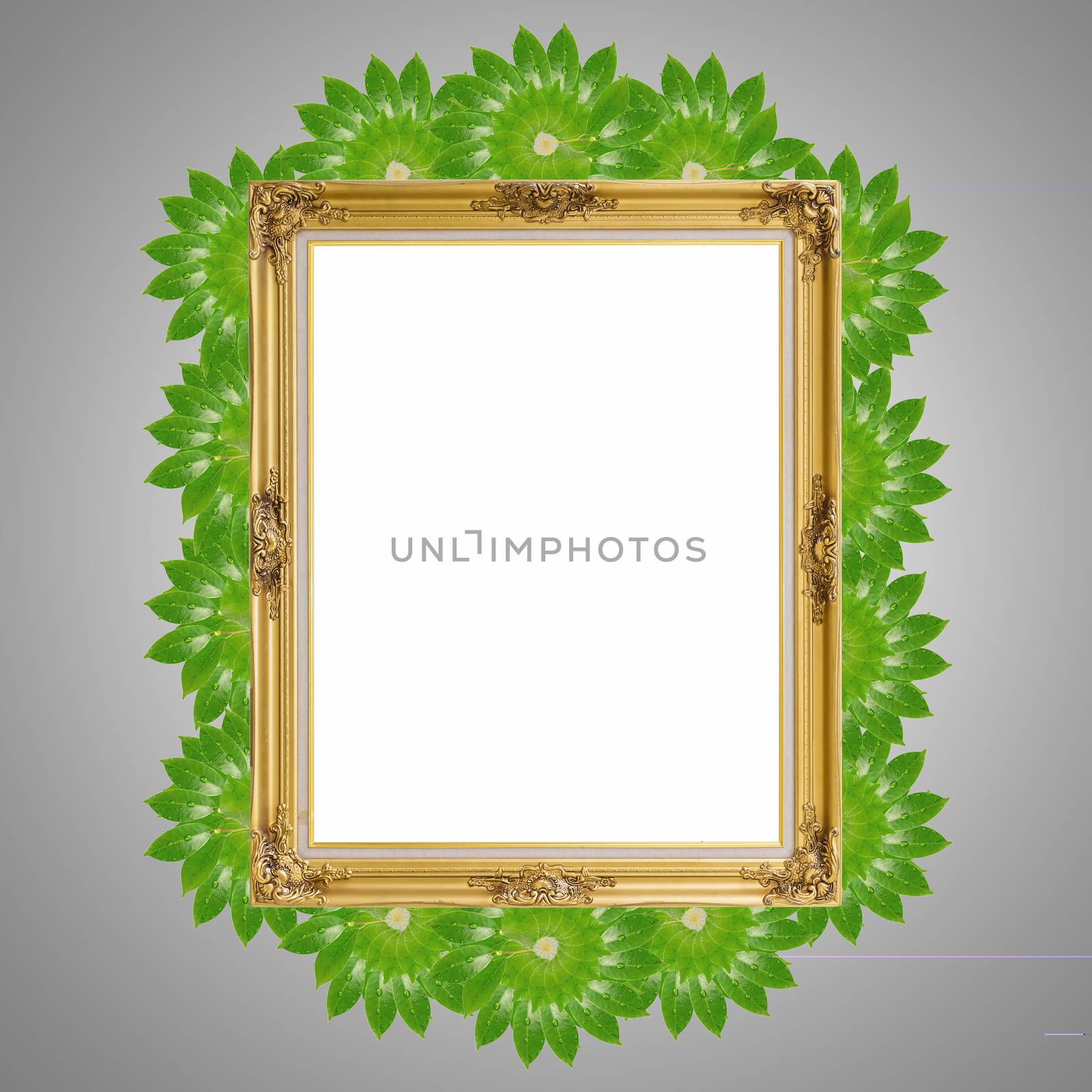 Gold louise and leaves photo frame isolated white background