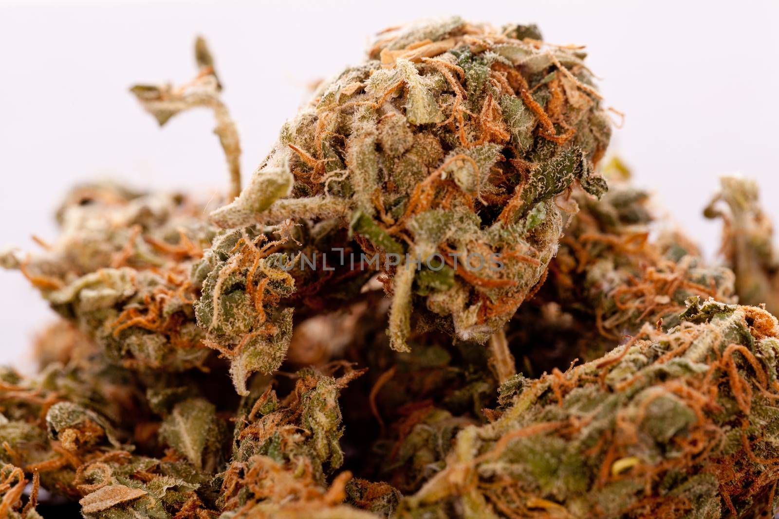 Close up Dried Marijuana Leaves on the Table by juniart