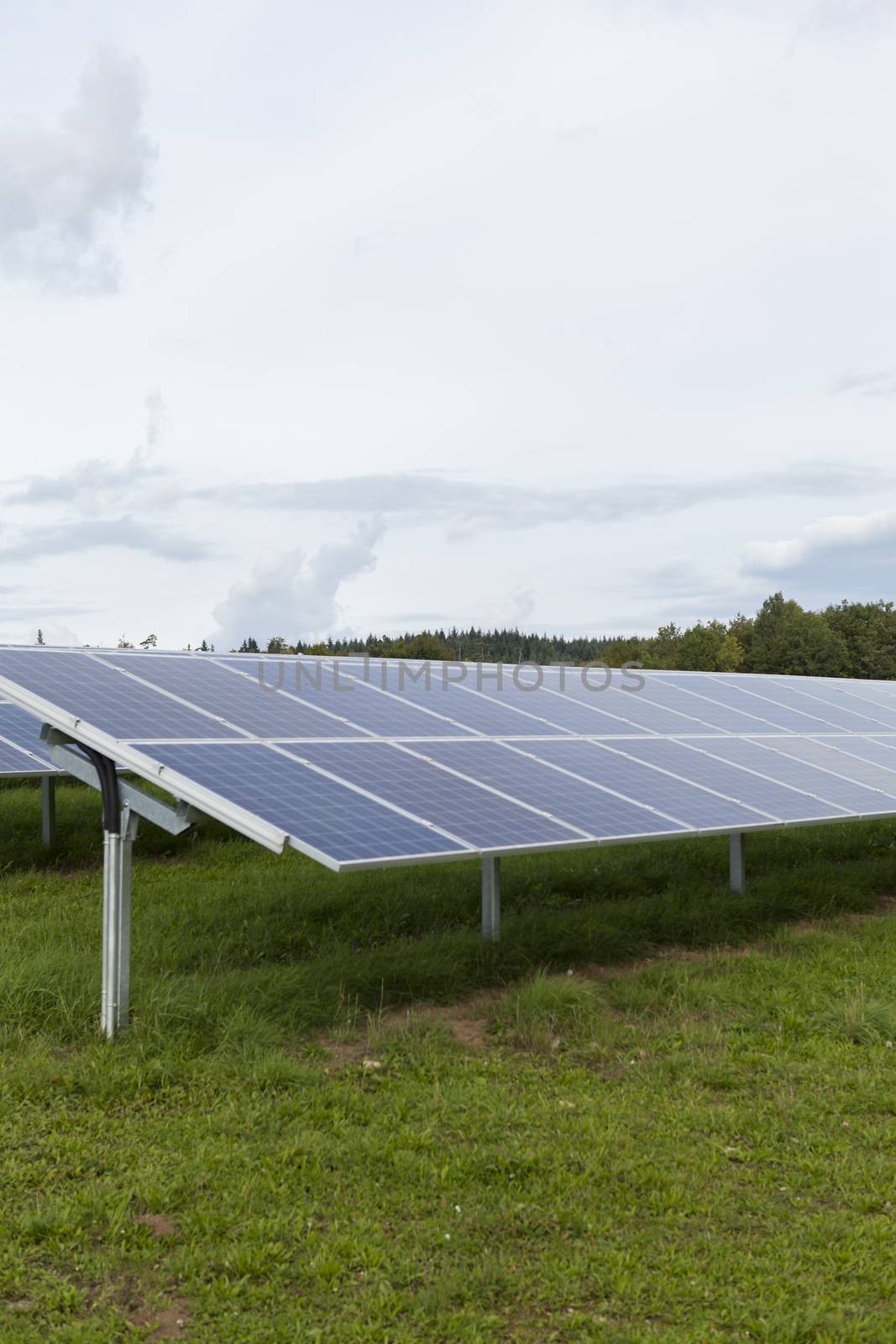 Field with blue siliciom solar cells alternative energy to collect sun energy