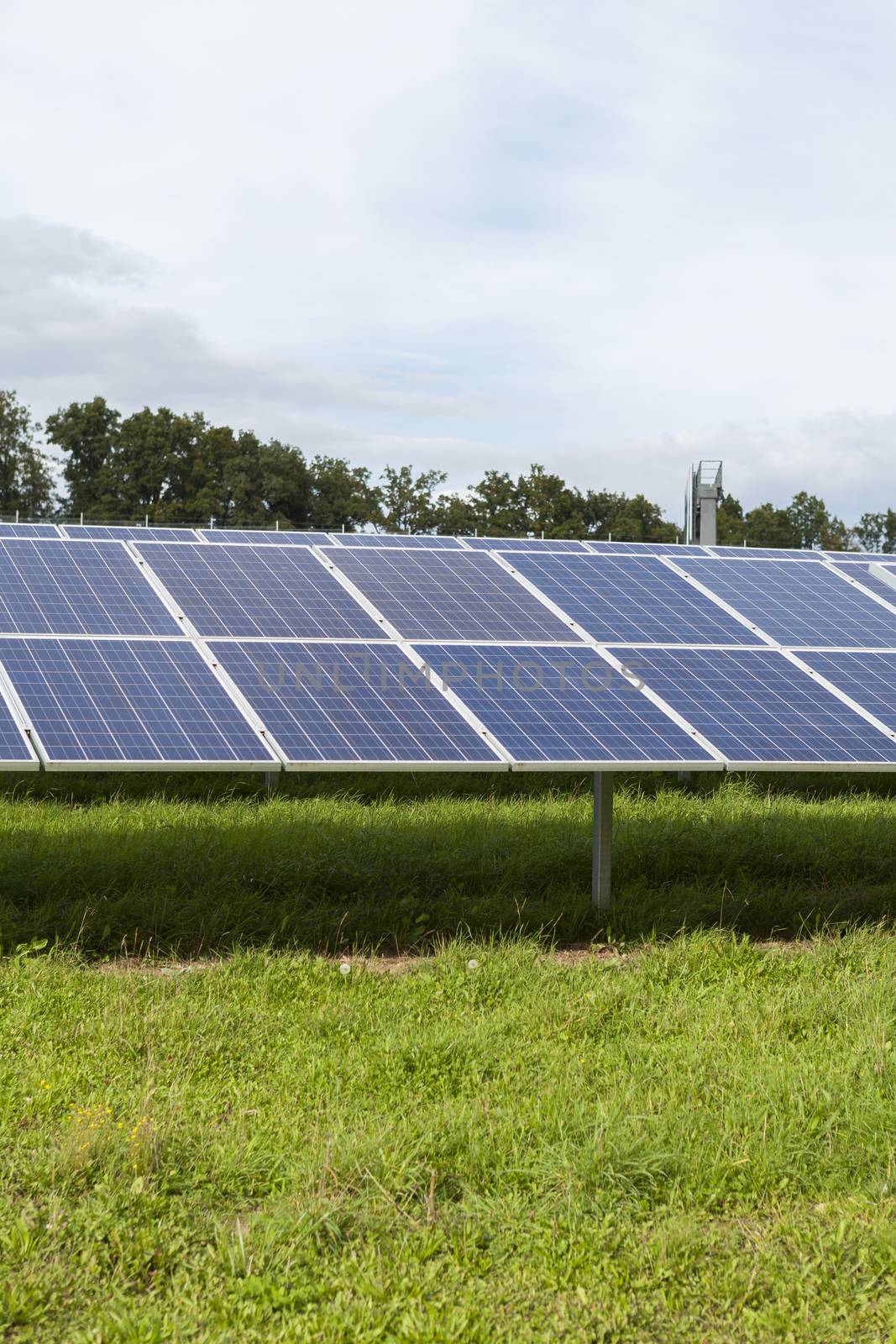 Field with blue siliciom solar cells alternative energy to collect sun energy