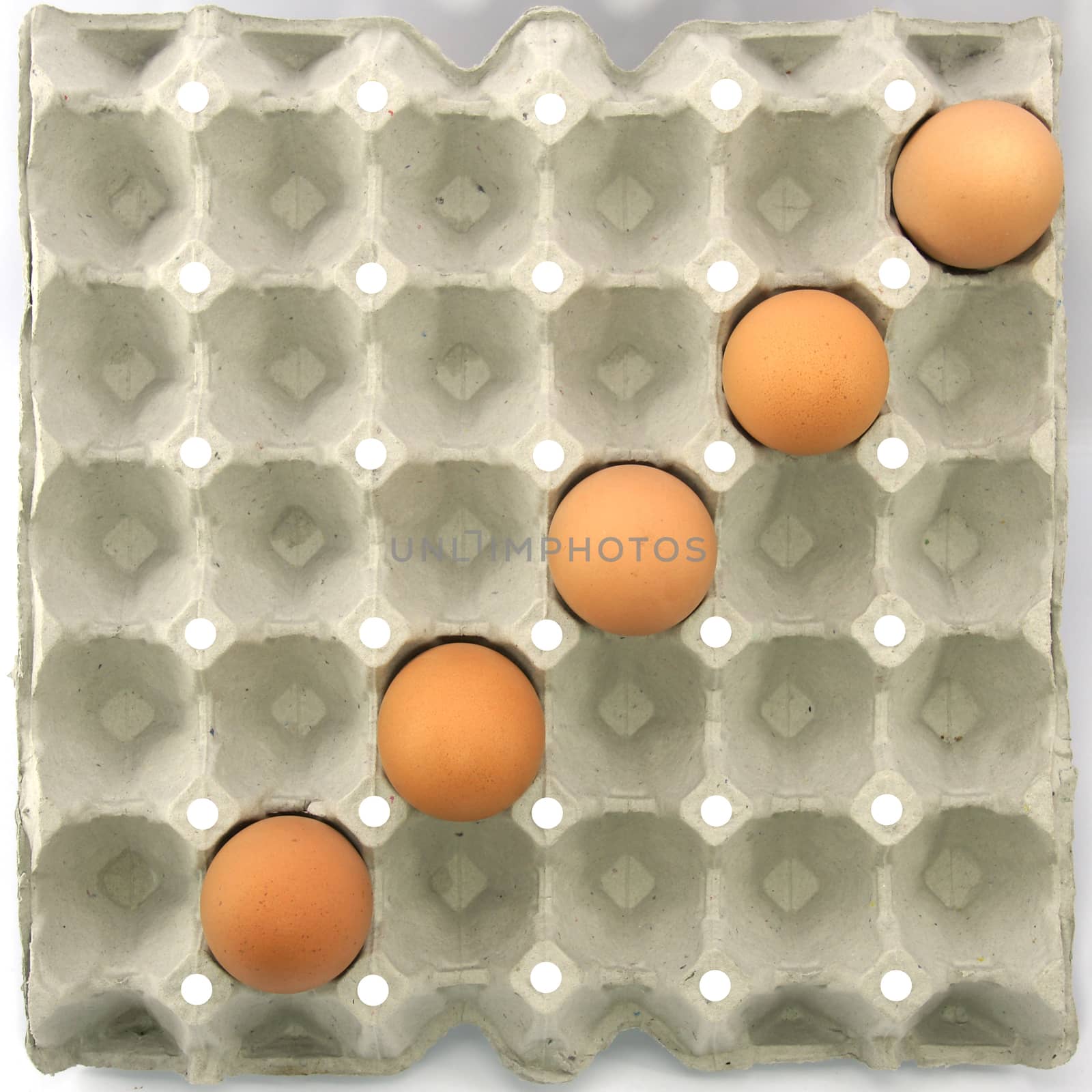 Divide symbol show by eggs in paper tray