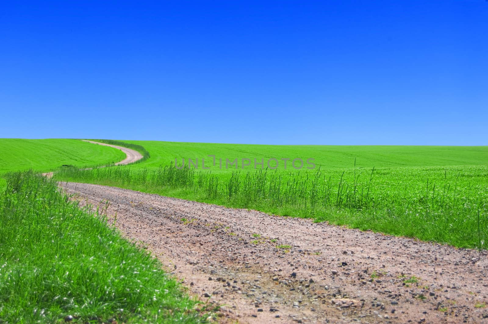 Green field with road and blue sky. Picture of green field and sky in summer.