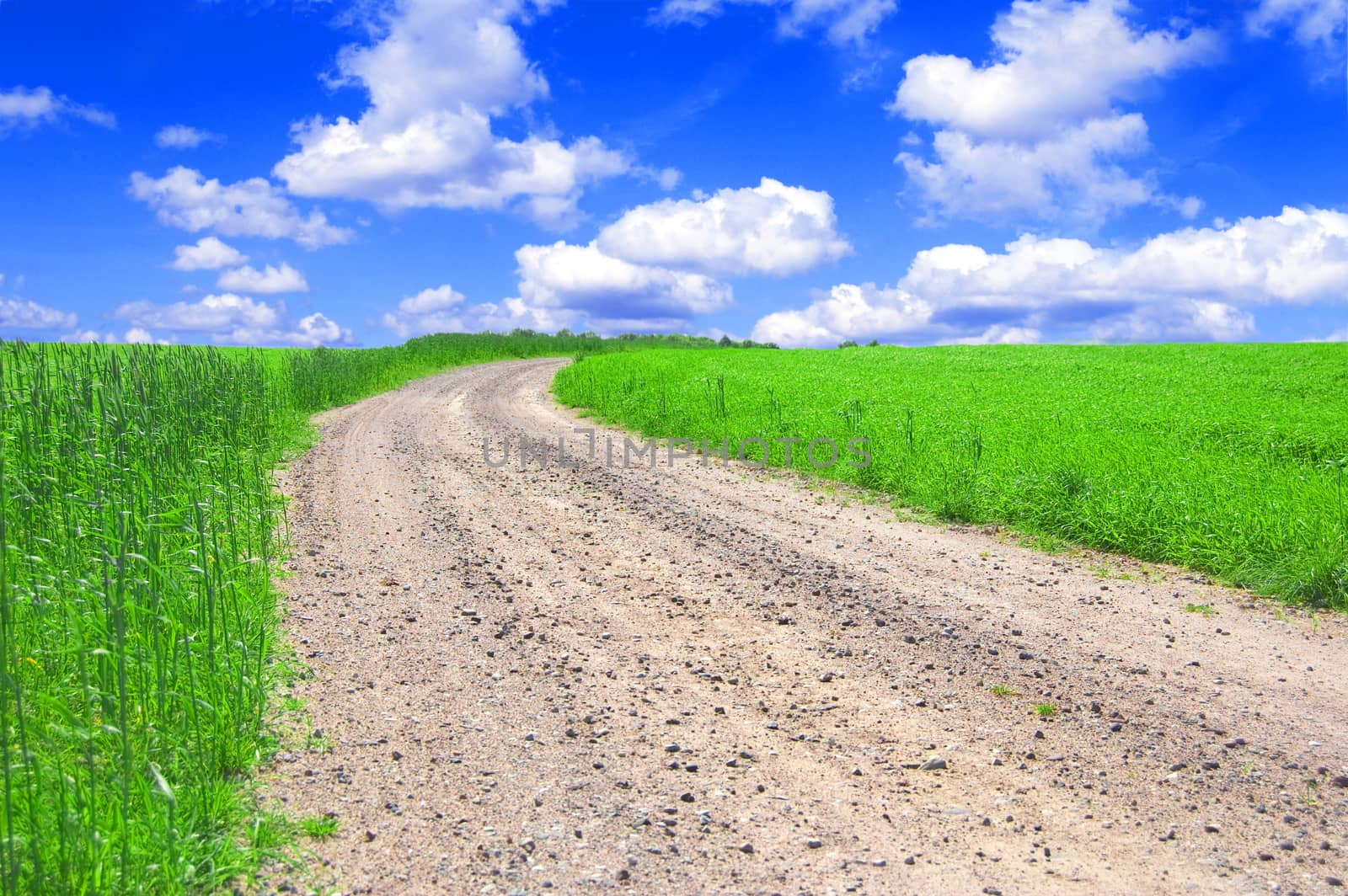 Green field with road and blue sky. Picture of green field and sky in summer.