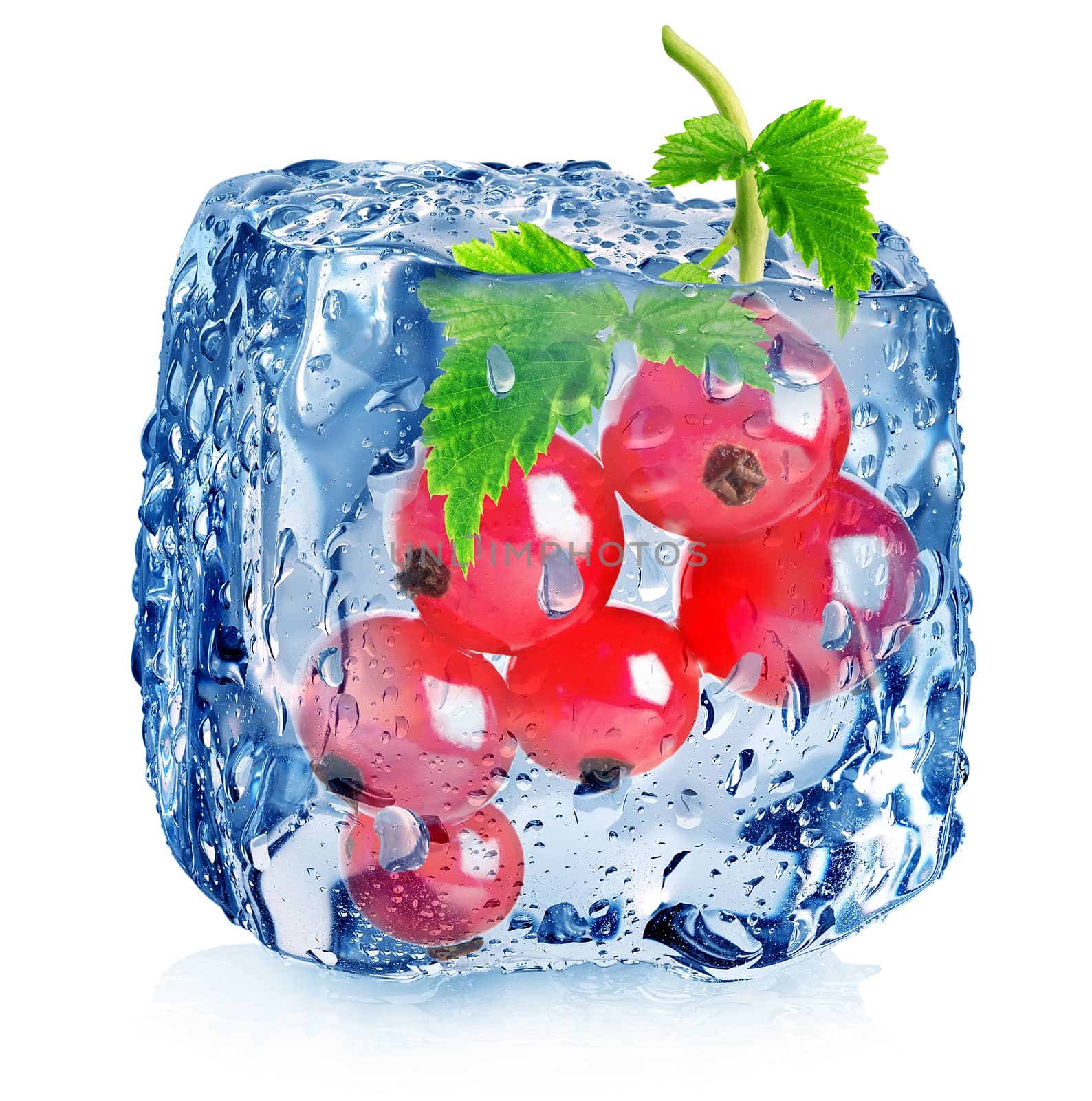 Red berries of currant in ice  by Givaga