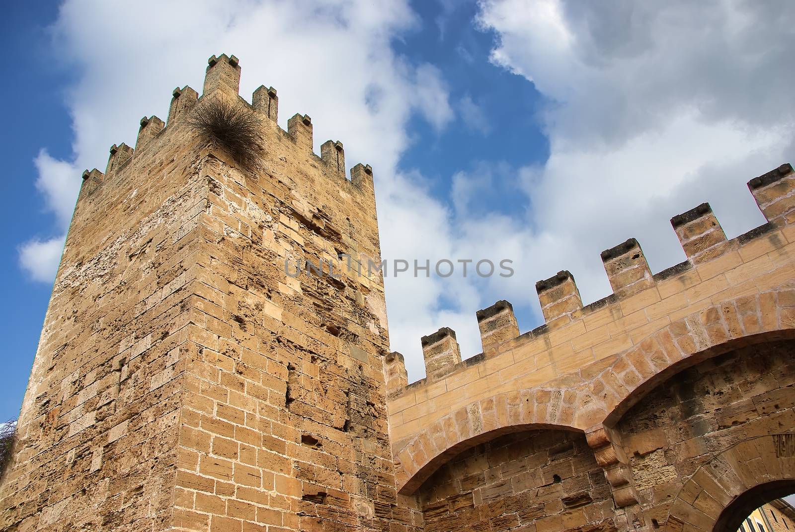 Medieval Castle by JCVSTOCK