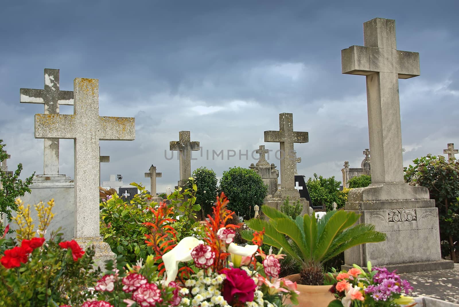 Flowers in a catholic cemetery of Spain