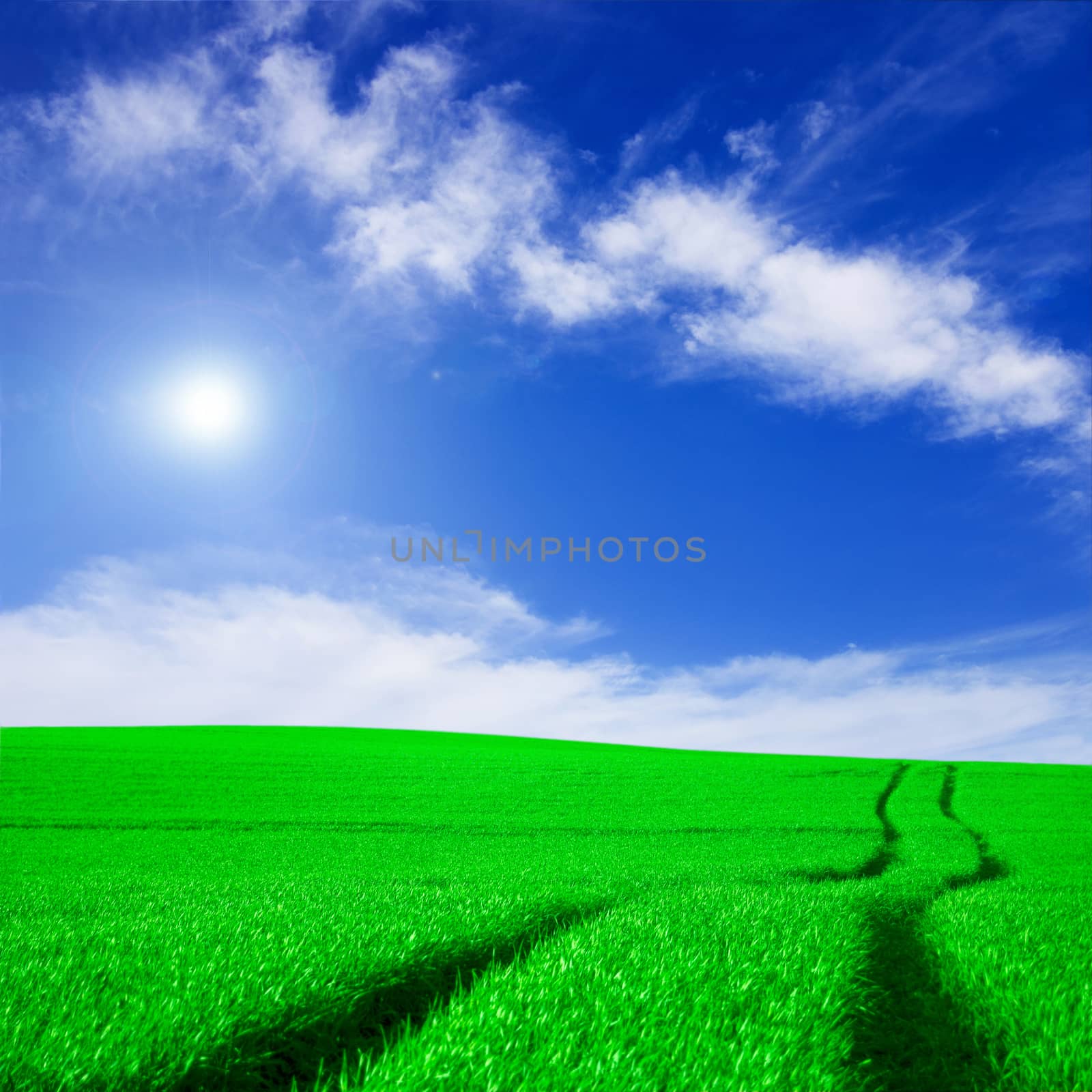 Green field and blue sky conceptual image. by satariel