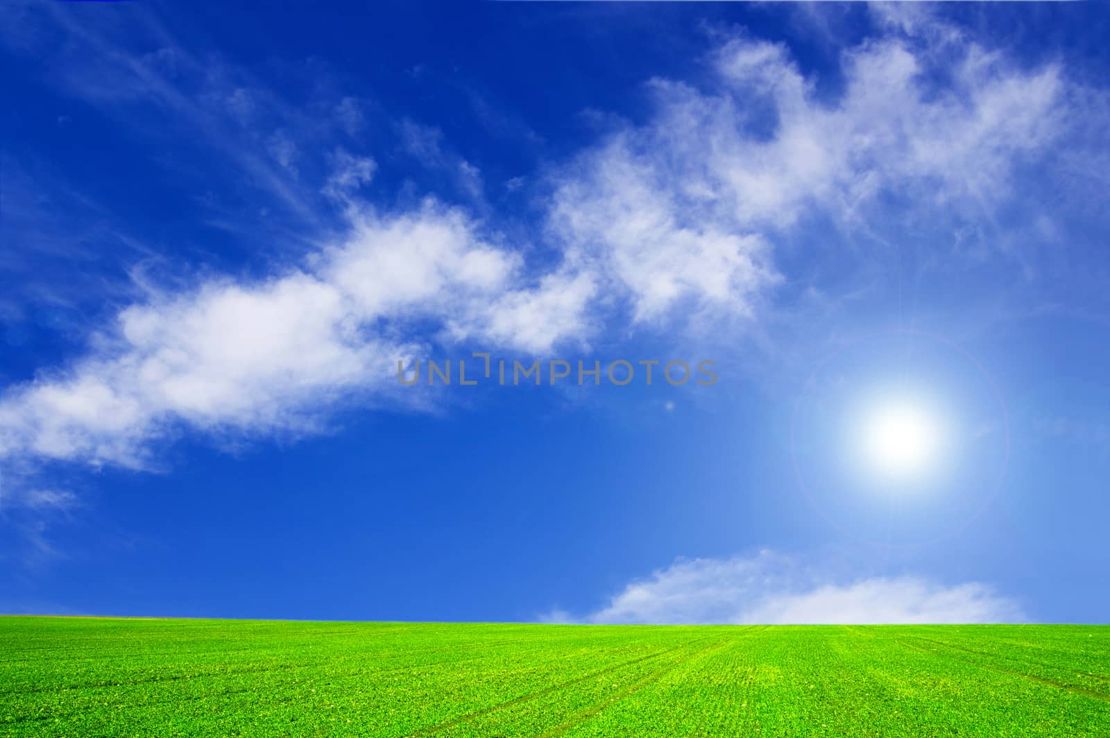 Windmill conceptual image. Windmills on the green field.