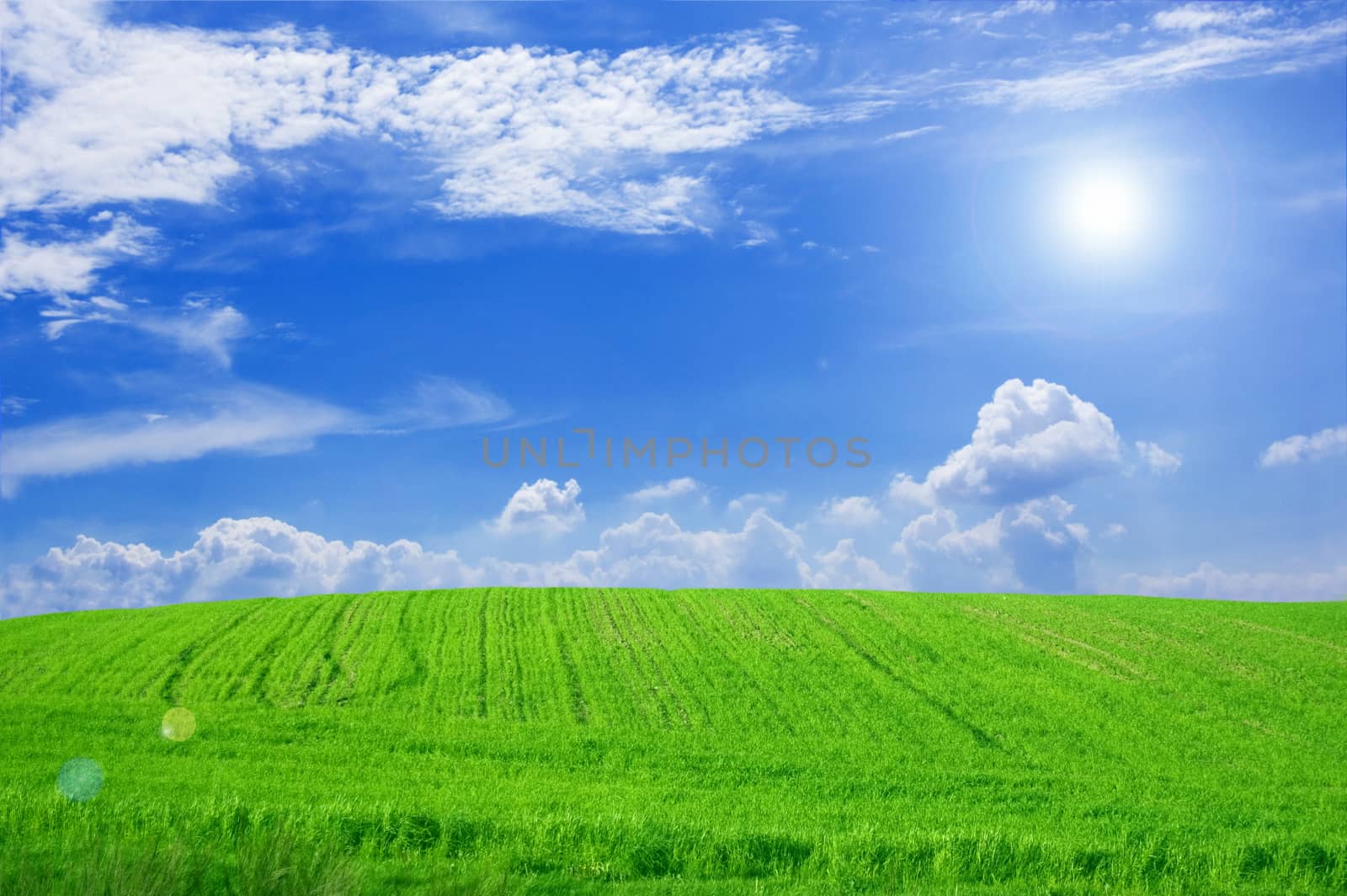 Green field and blue sky conceptual image. by satariel