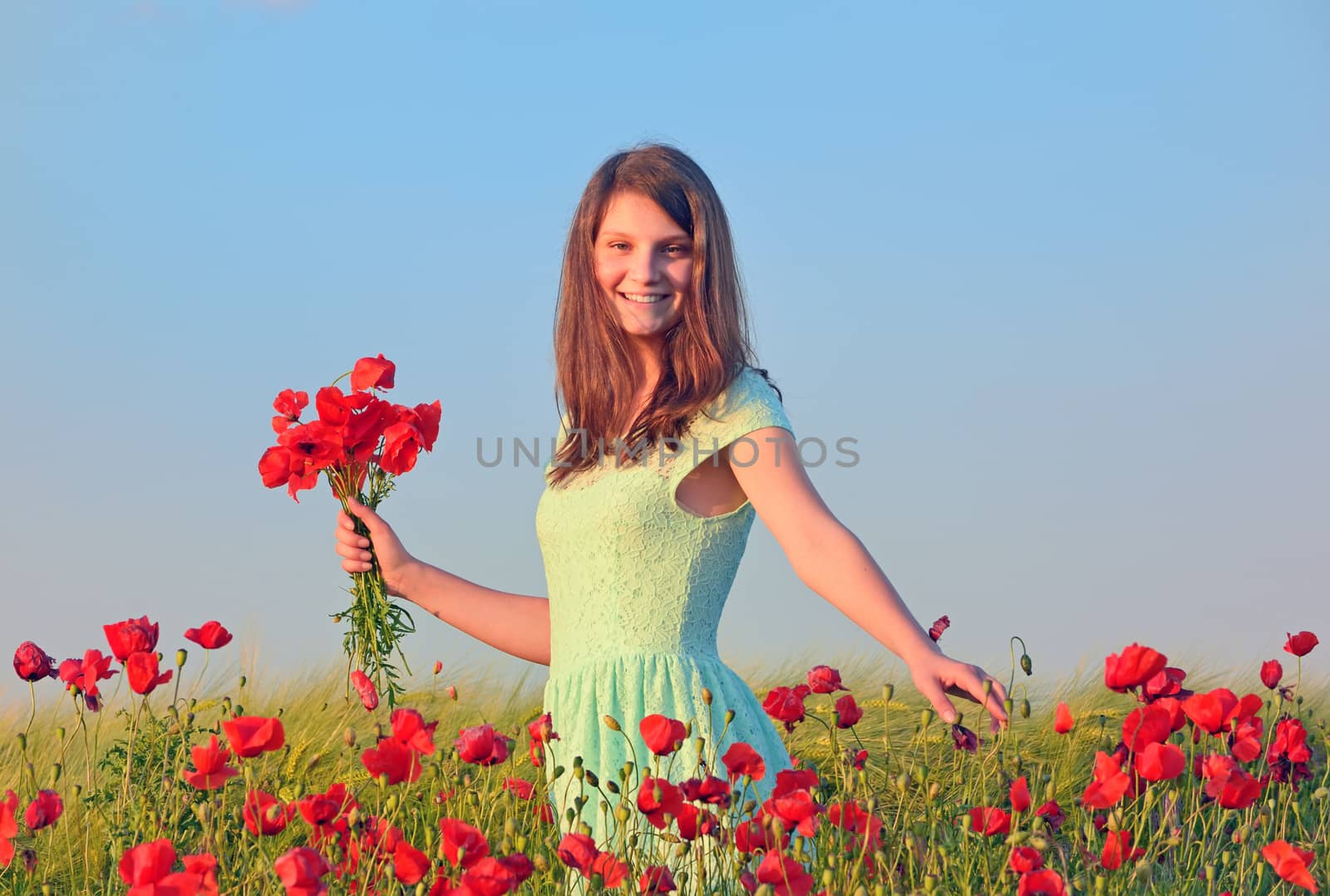 girl  in field of poppies in summer sunset