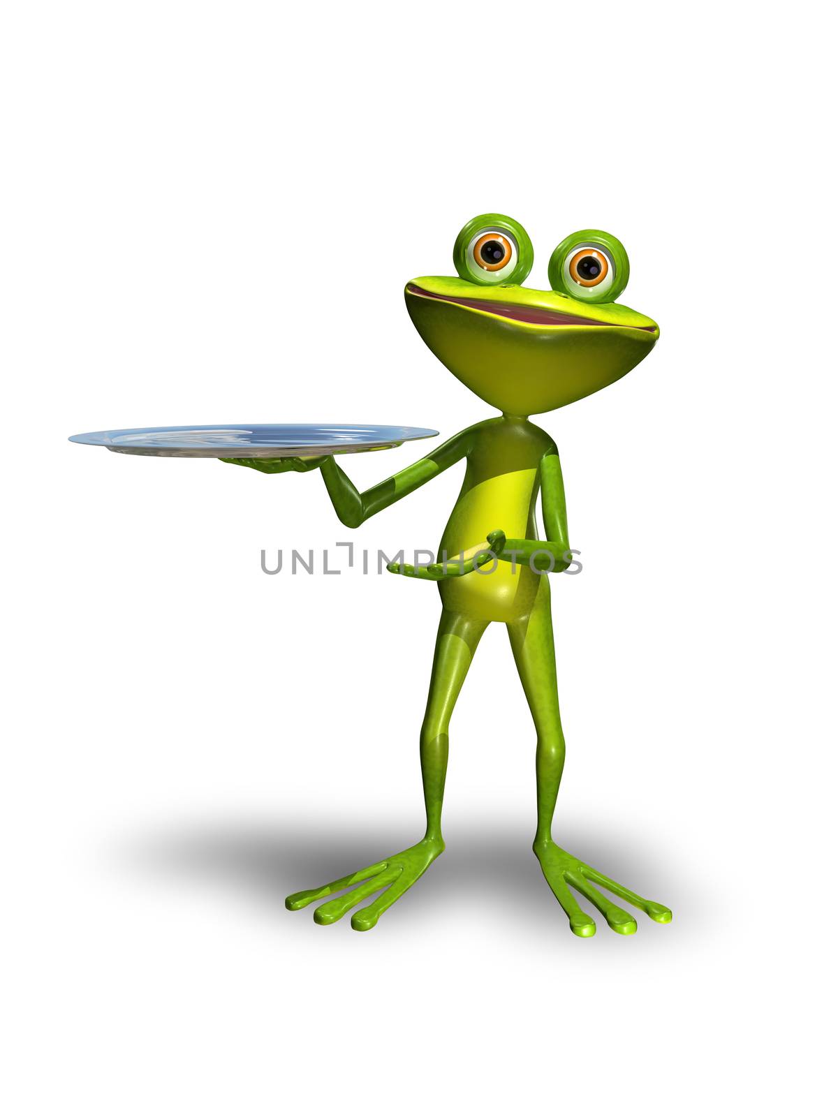 Frog with a tray  by brux