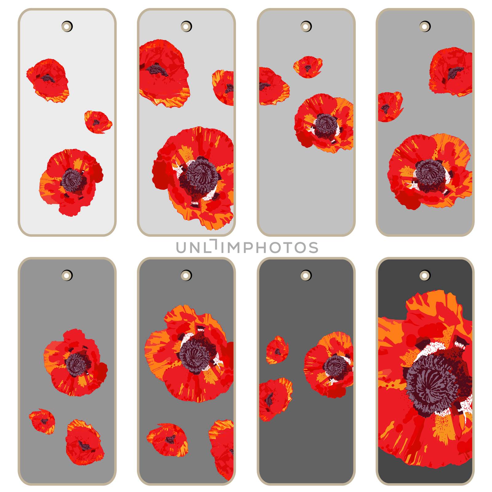 Price tags collection with poppy flowers, hand drawn cartoon illustrations over different grey backgrounds, series isolated on white