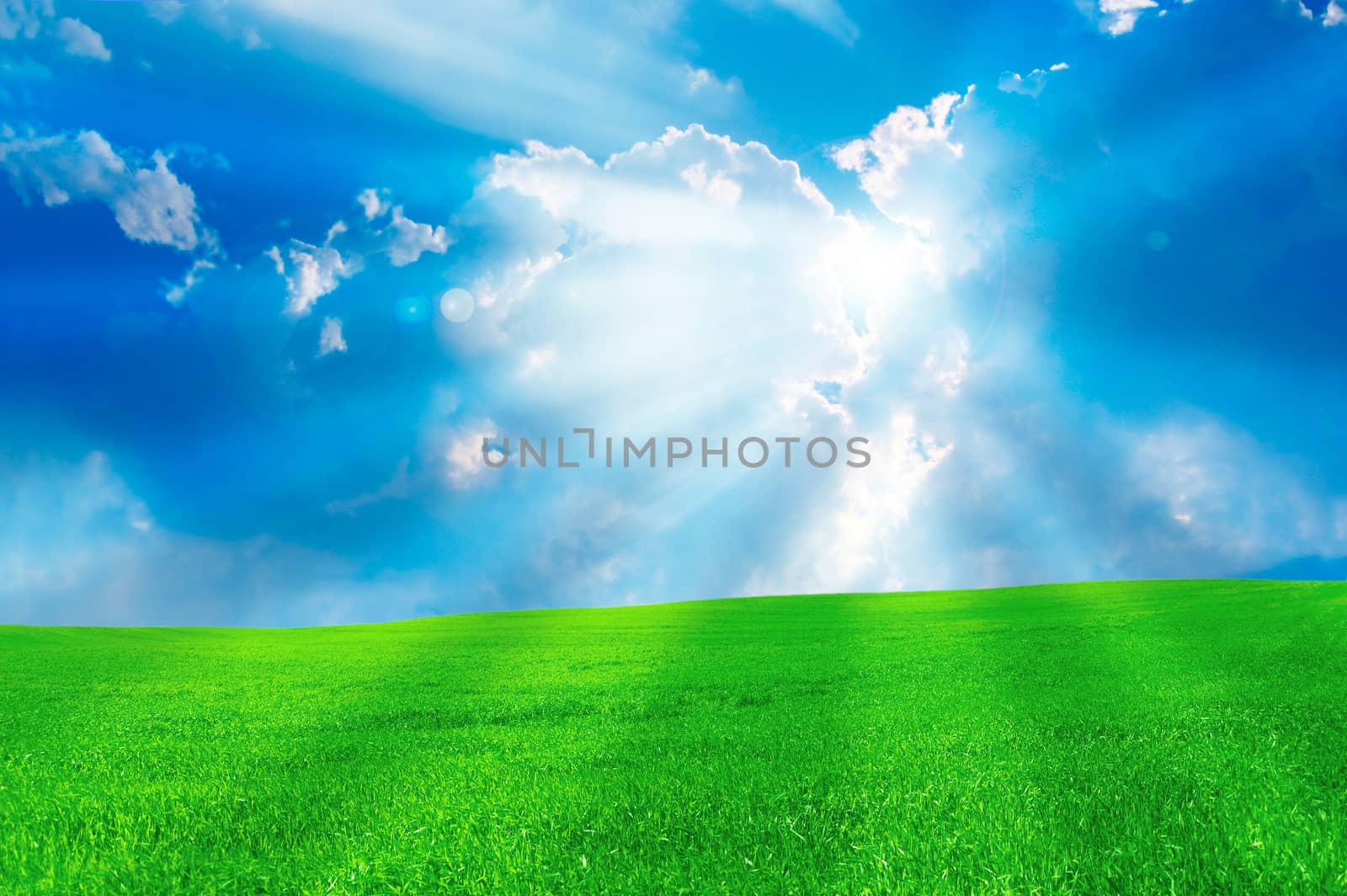 Summer landscape. Bright sun over green field at summer.