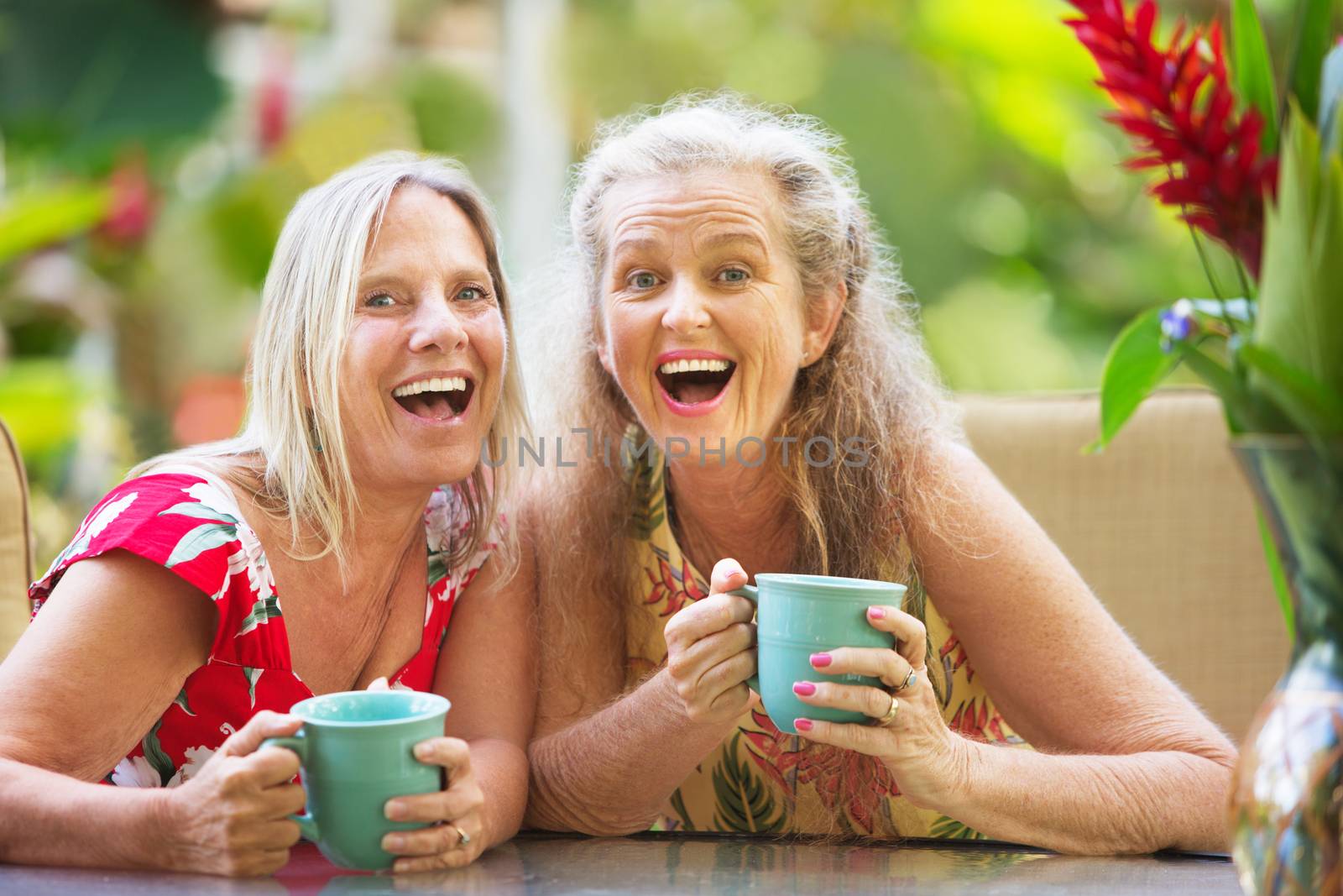 Joyful Women Sitting Outdoors by Creatista