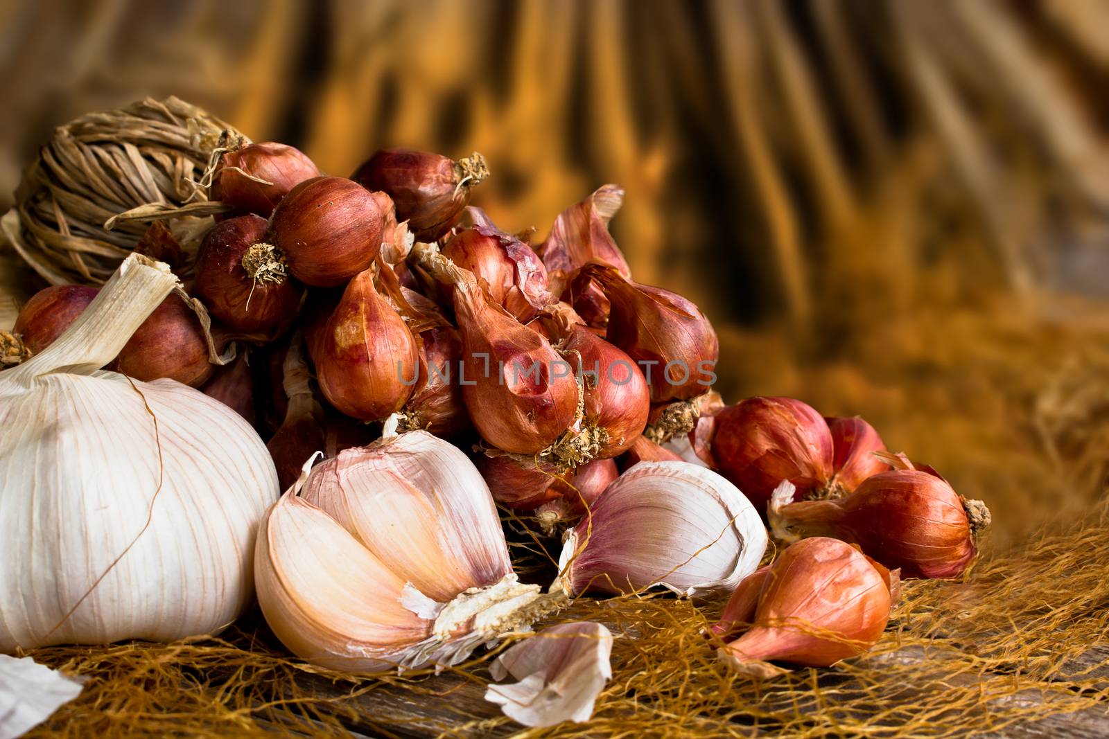 Vintage garlic and onion in still life style