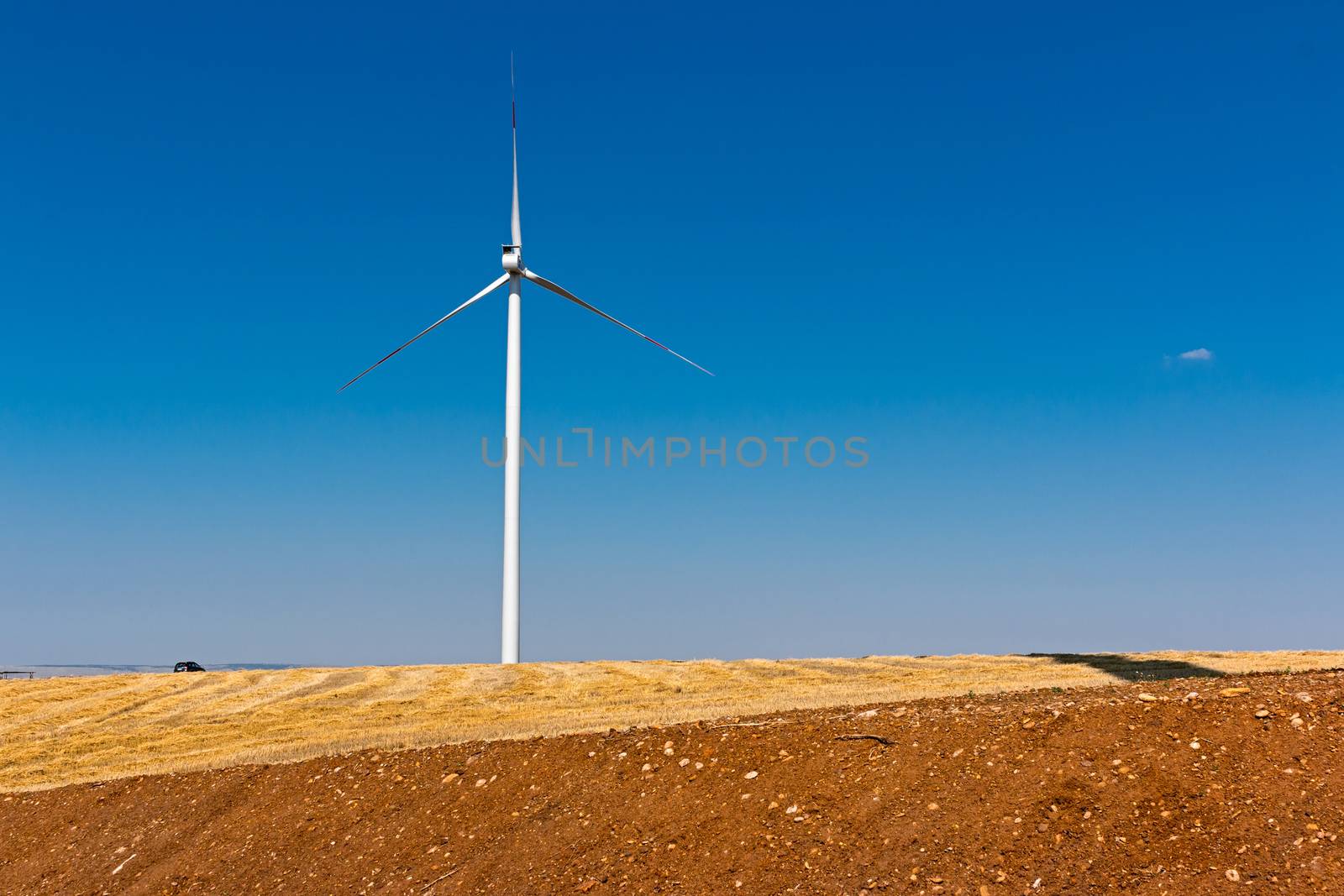 landscape with a windmill farm land