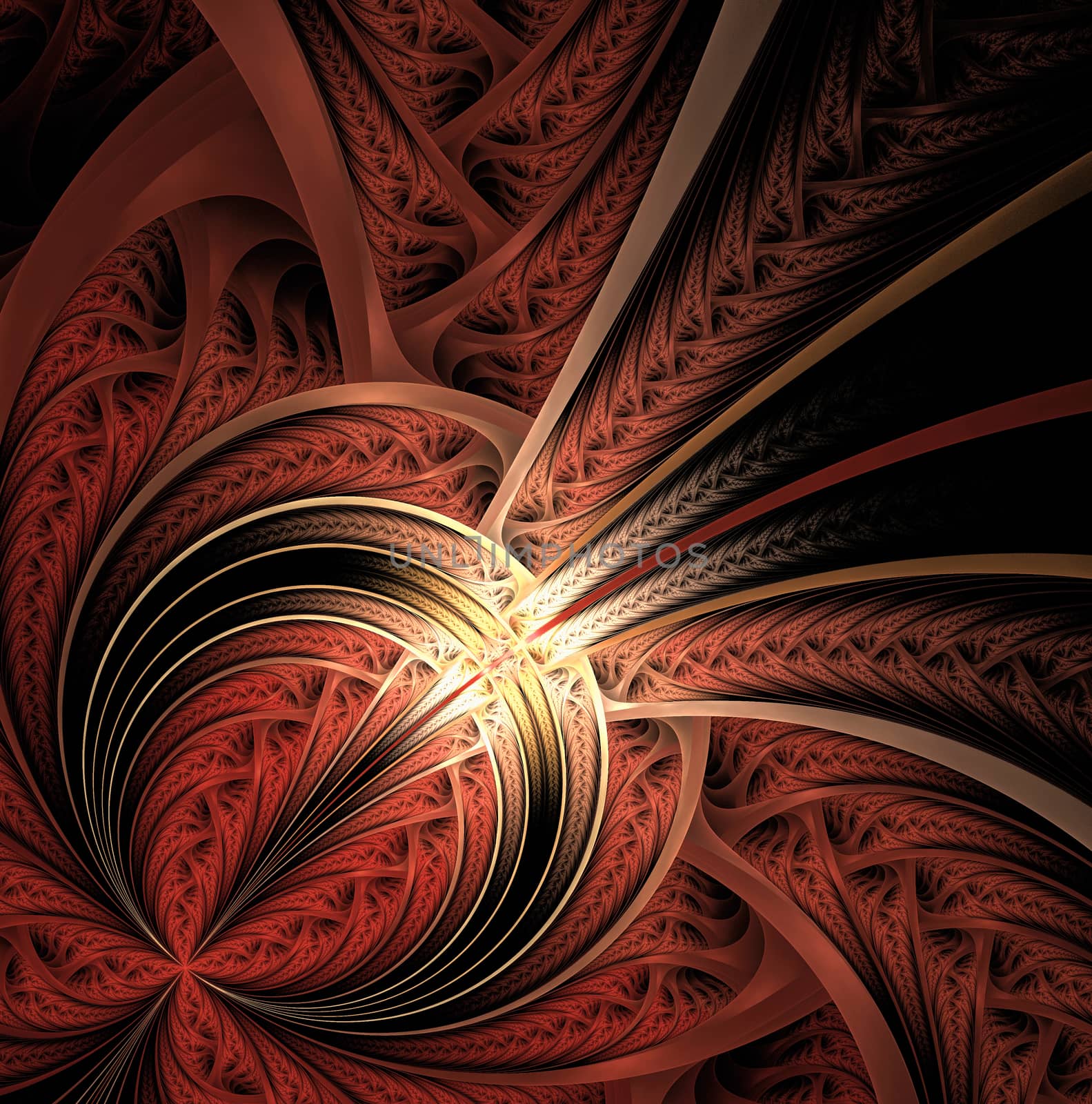 curly ornament, fractall. Computer generated fractal artwork for design.
