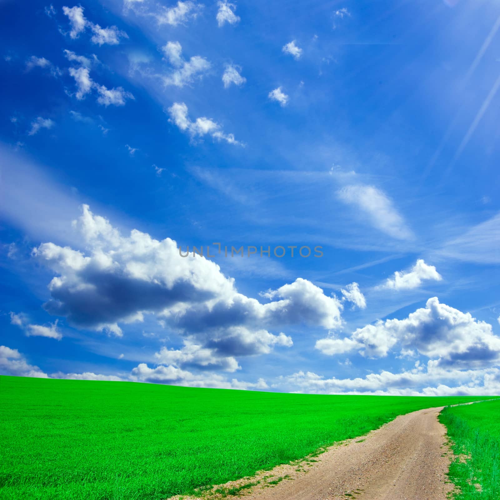 Green field and blue sky. Picture of green field and sky in summer.