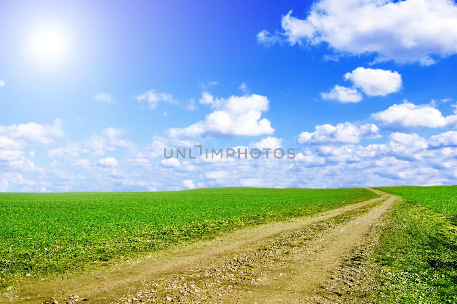 Green field and blue sky conceptual image. Picture of green field and sky in summer.