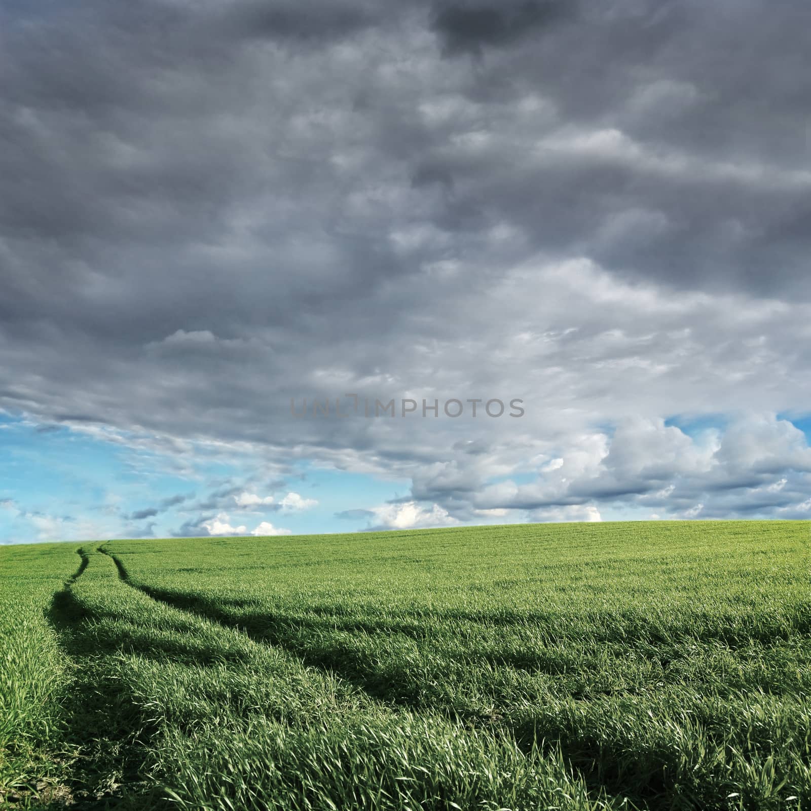 Storm over the field.