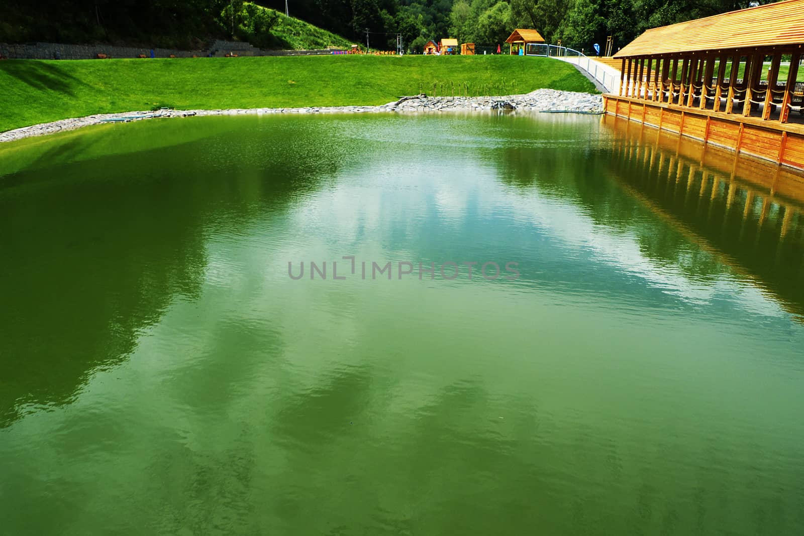 Swimming pool in nature