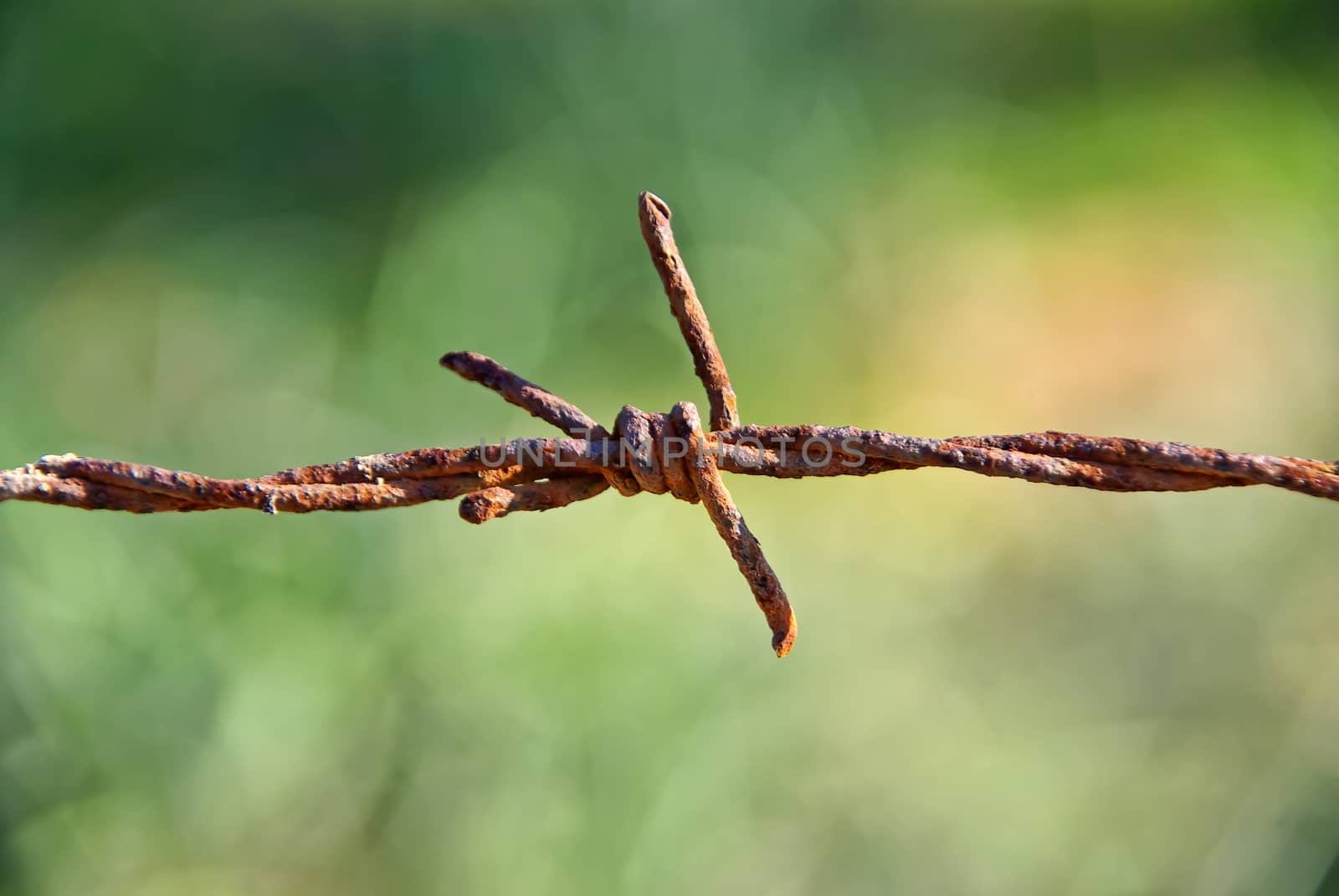 Barbed wire by JCVSTOCK