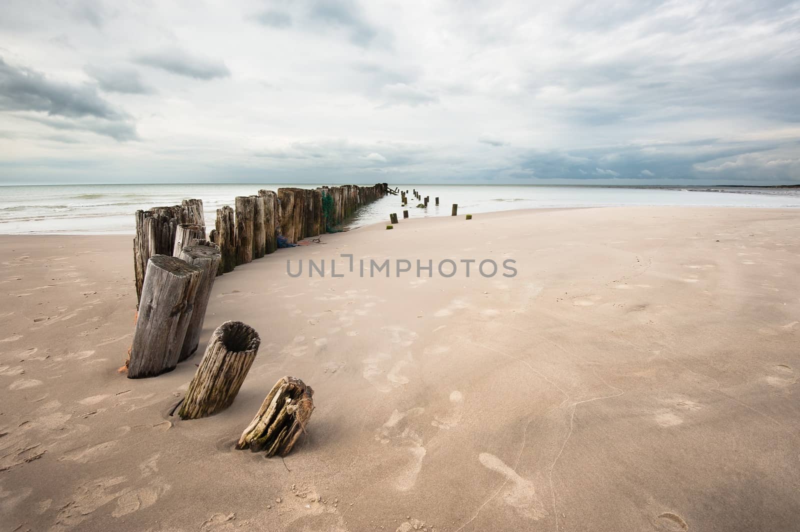 Poles on a line into the sea on the beach in Denmark