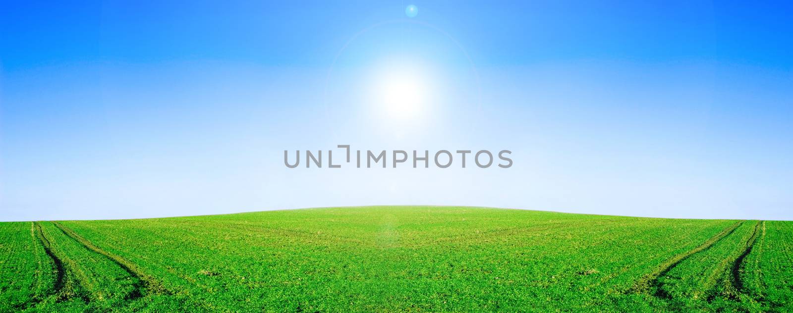 Green field and blue sky conceptual image. by satariel