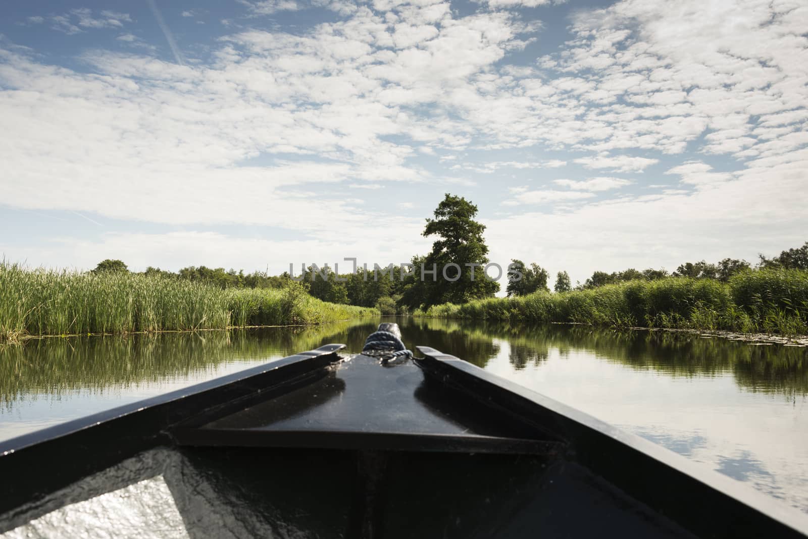 view on dutch nature area with water and green grass from wooden boat