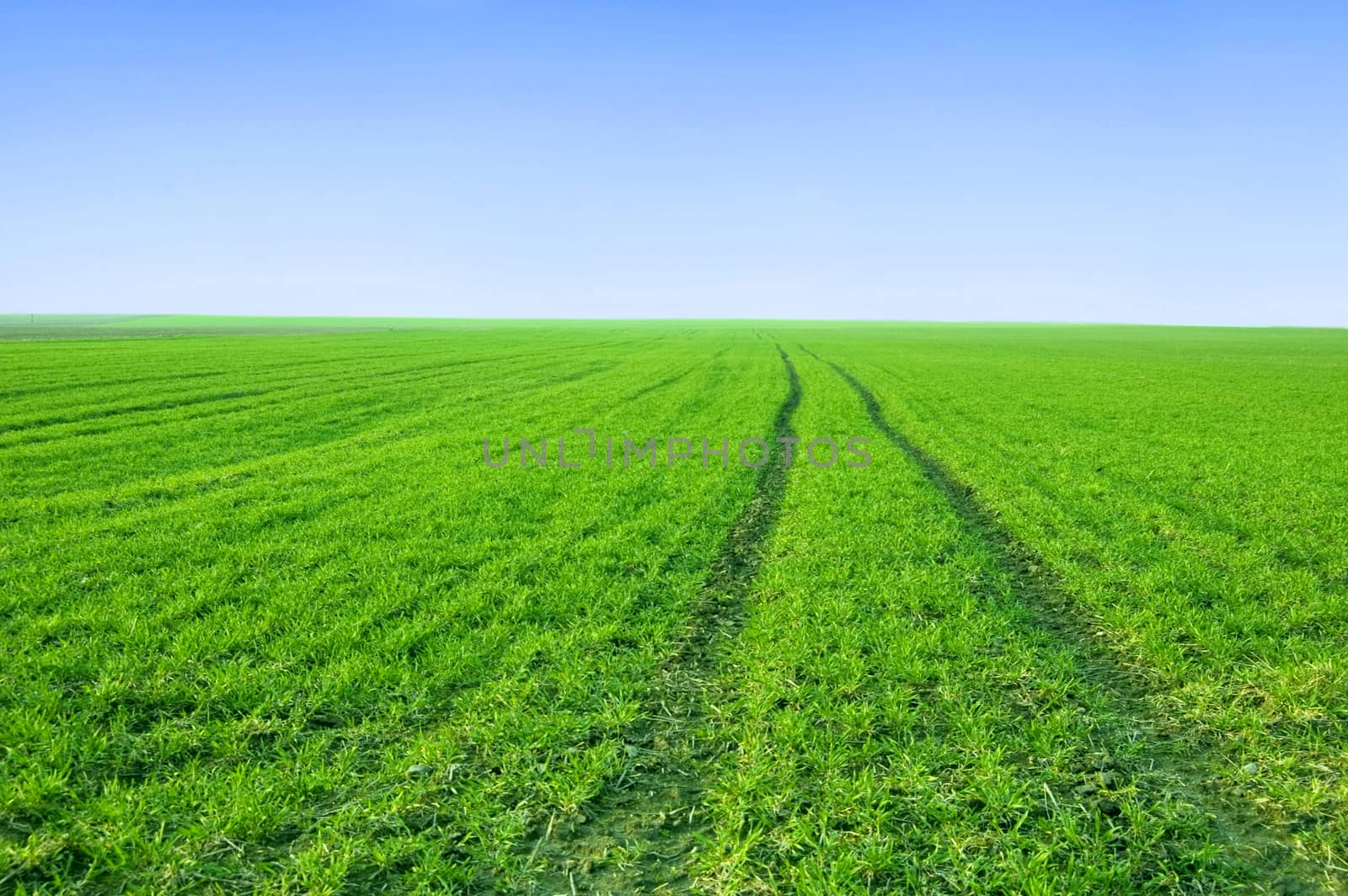 Green field and blue sky conceptual image. by satariel