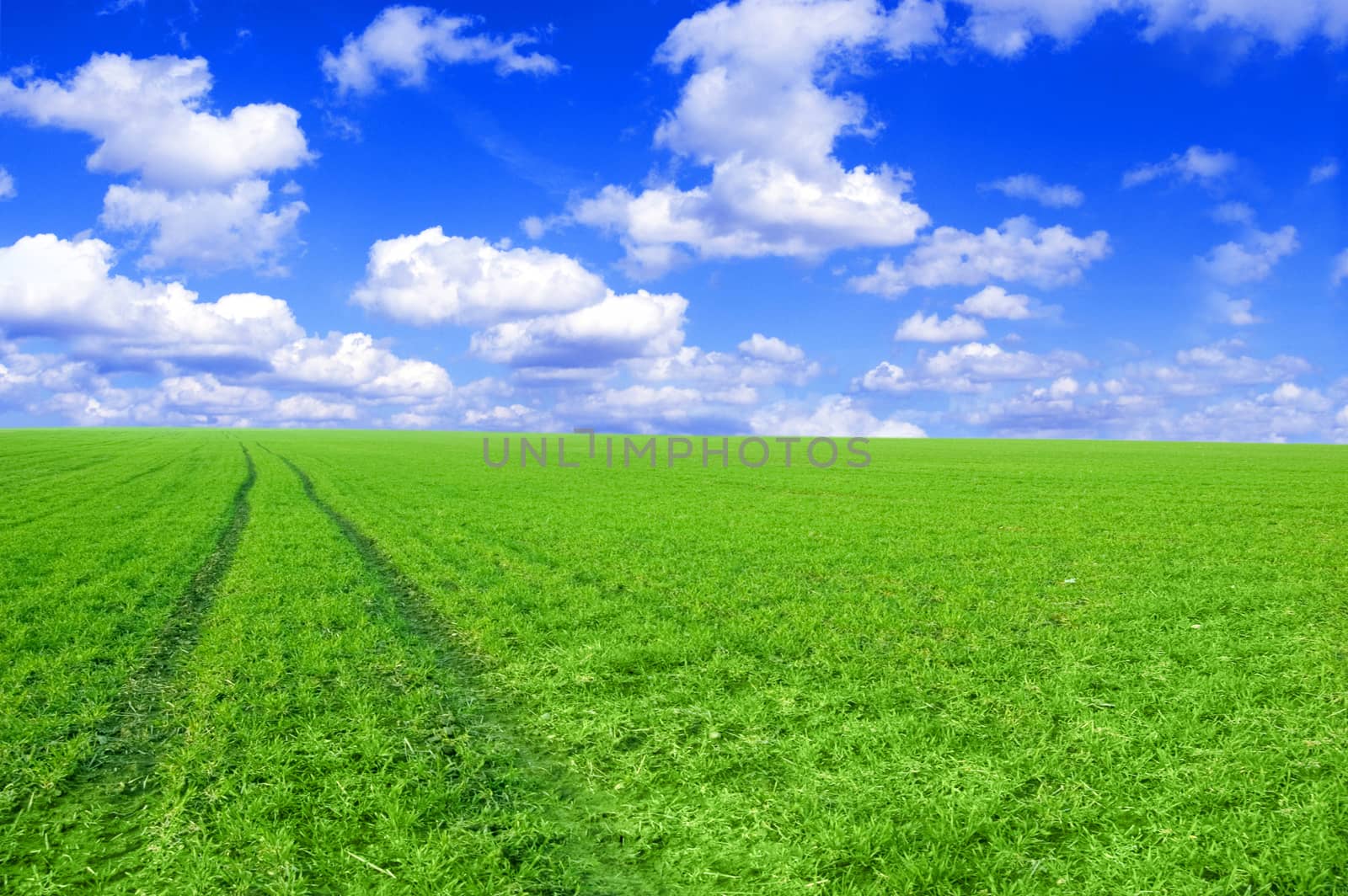 Green field and blue sky conceptual image. by satariel