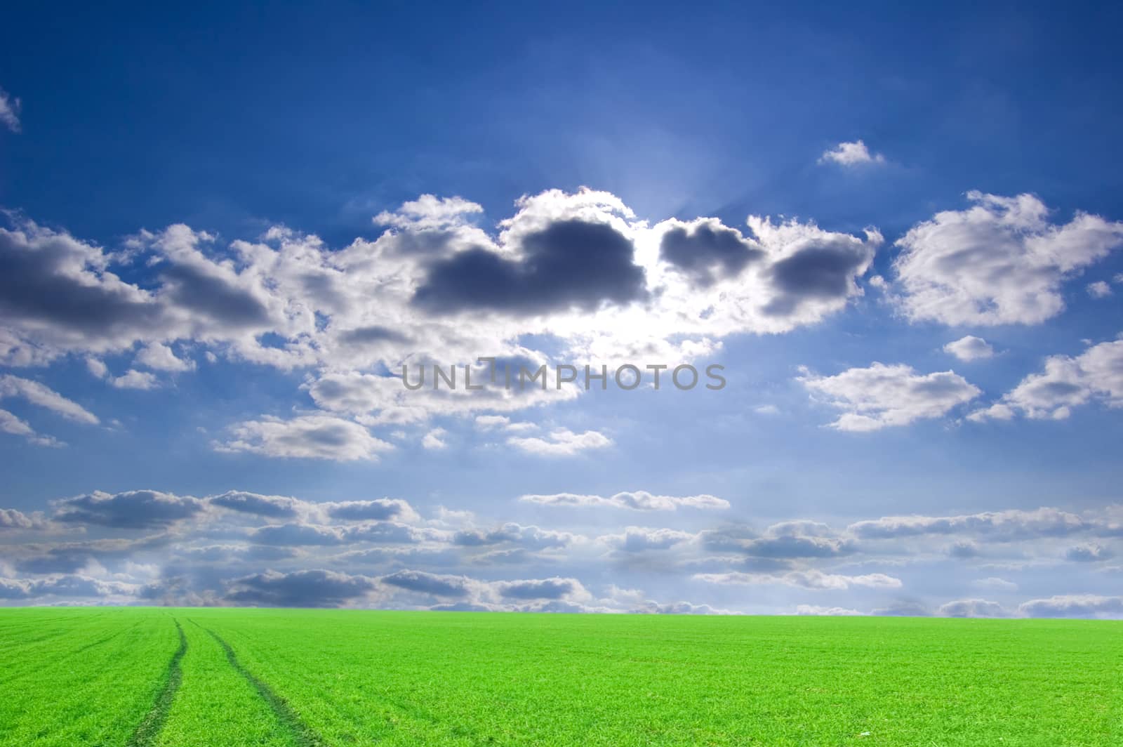 Green field and blue sky conceptual image. by satariel