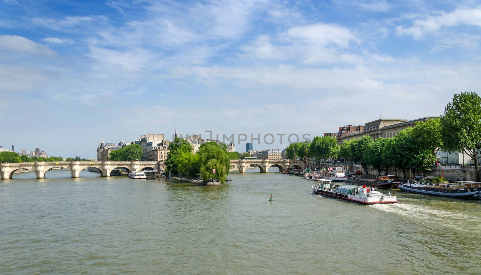 Cite Island and Pont Neuf bridge in the center of Paris by siraanamwong