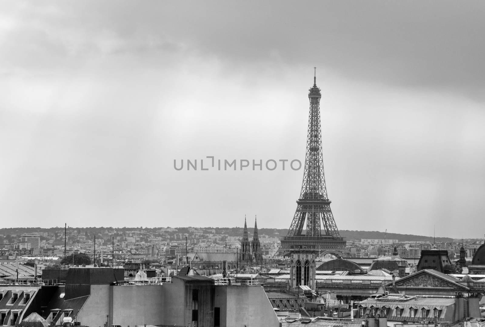 Eiffel Tower at sunset in Paris, France (Black and White)