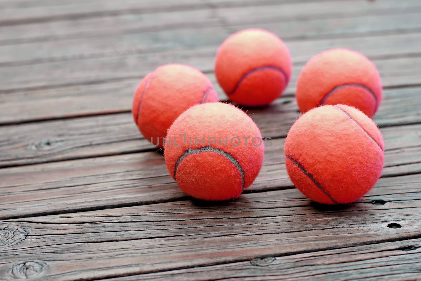 exotic red tennis ball  on wooden background