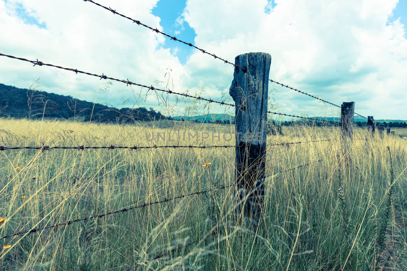  Australian Landscape cross process vintage image effect by brians101