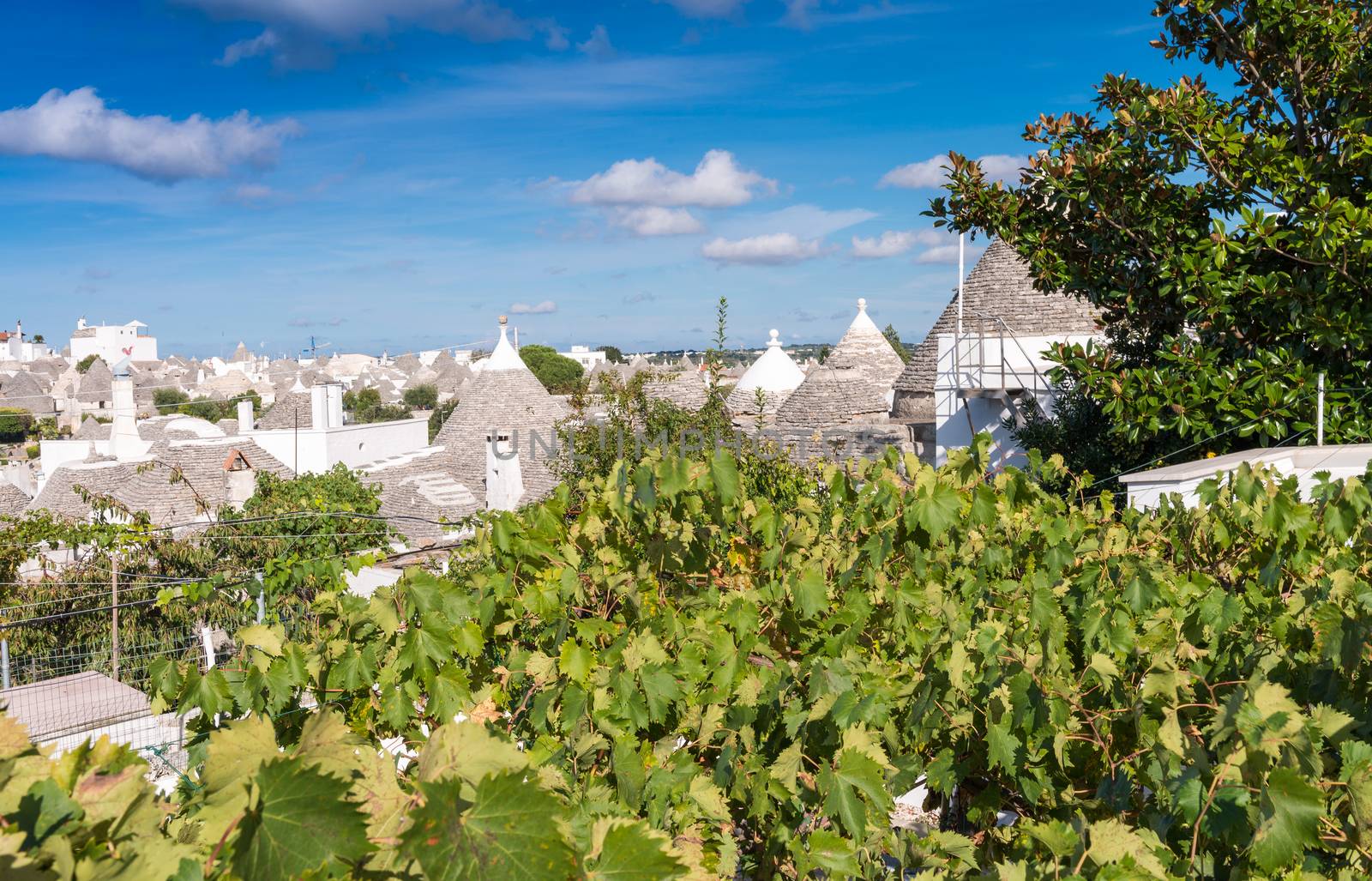 Alberobello, Apulia. Famous Trulli homes by jovannig