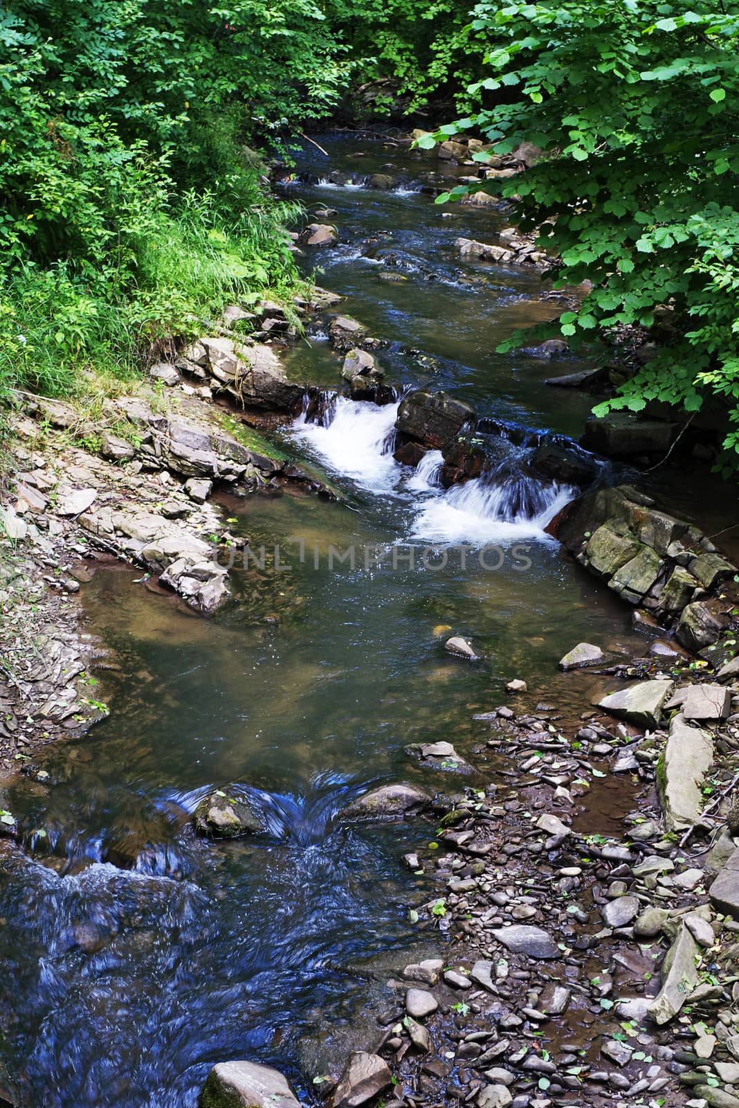 Forest creek with cascades in mountains