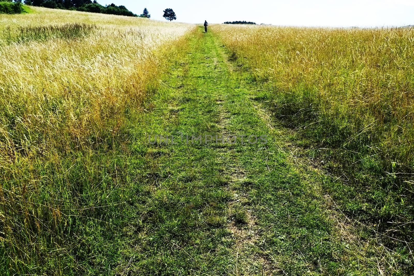 Riding a bike in nature