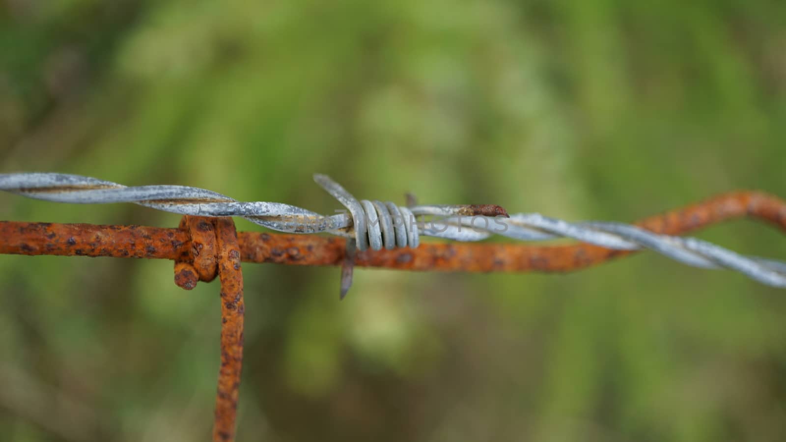 barb wire by olsen90