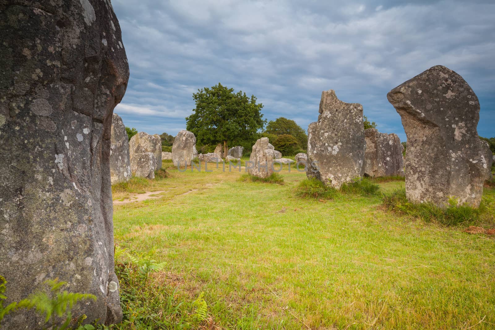 The stone rows of Kerzerho in Erdeven Morbihan in Brittany