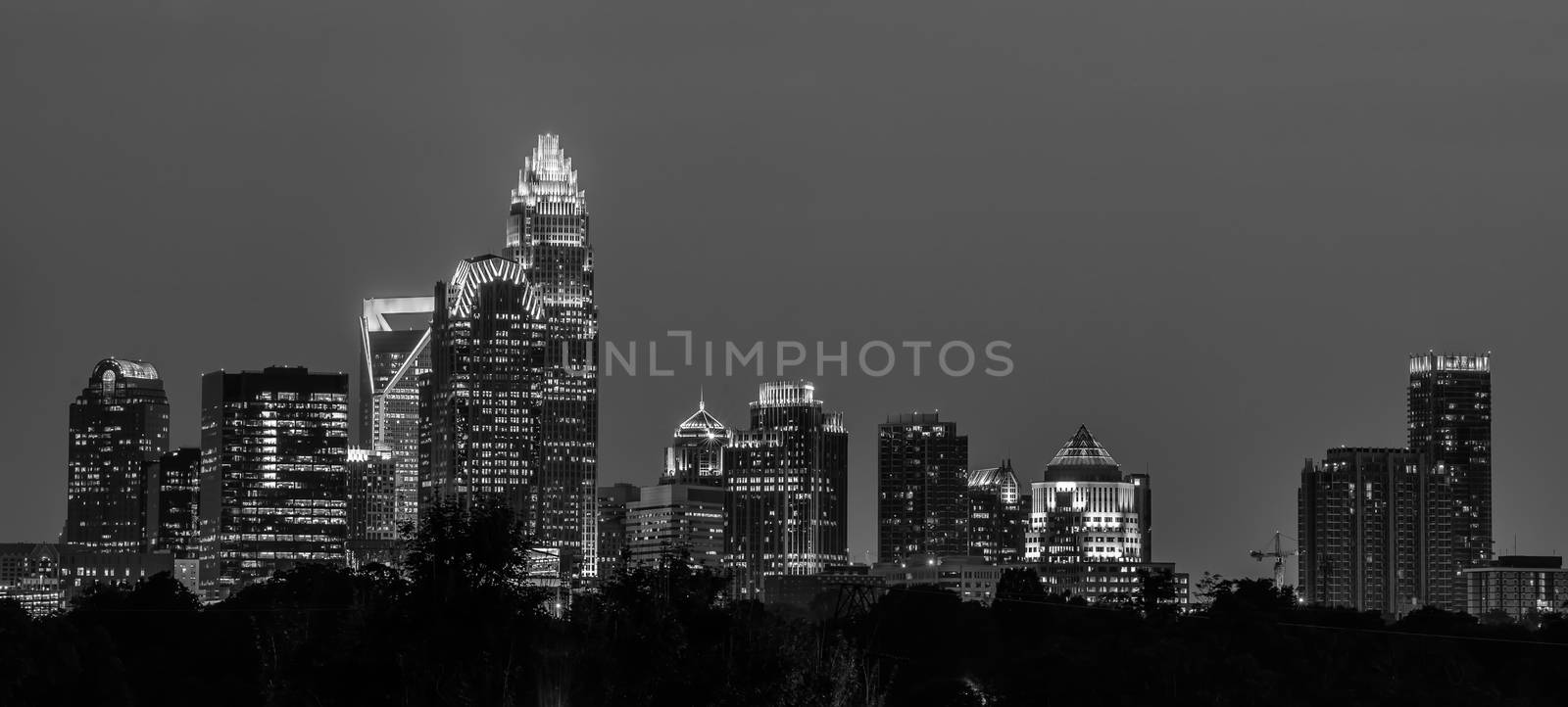 charlotte north carolina night skyline by digidreamgrafix