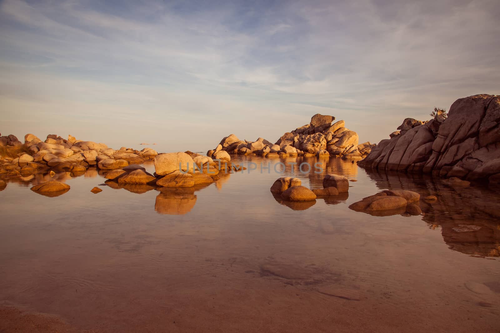 Trees and rocks at the beach of Palombaggia, the most famous beach of Corsica