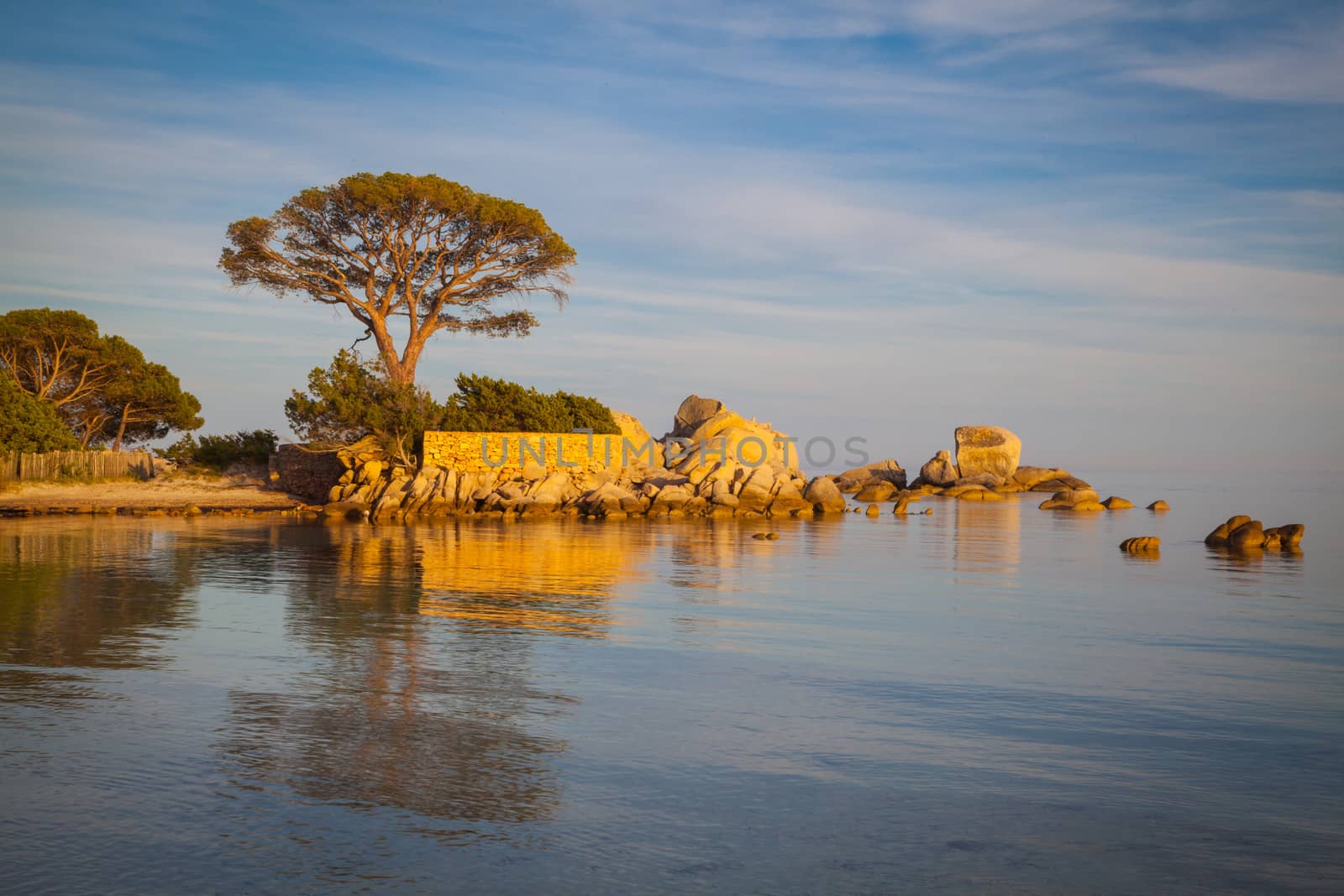 Trees and rocks at the beach of Palombaggia, the most famous beach of Corsica