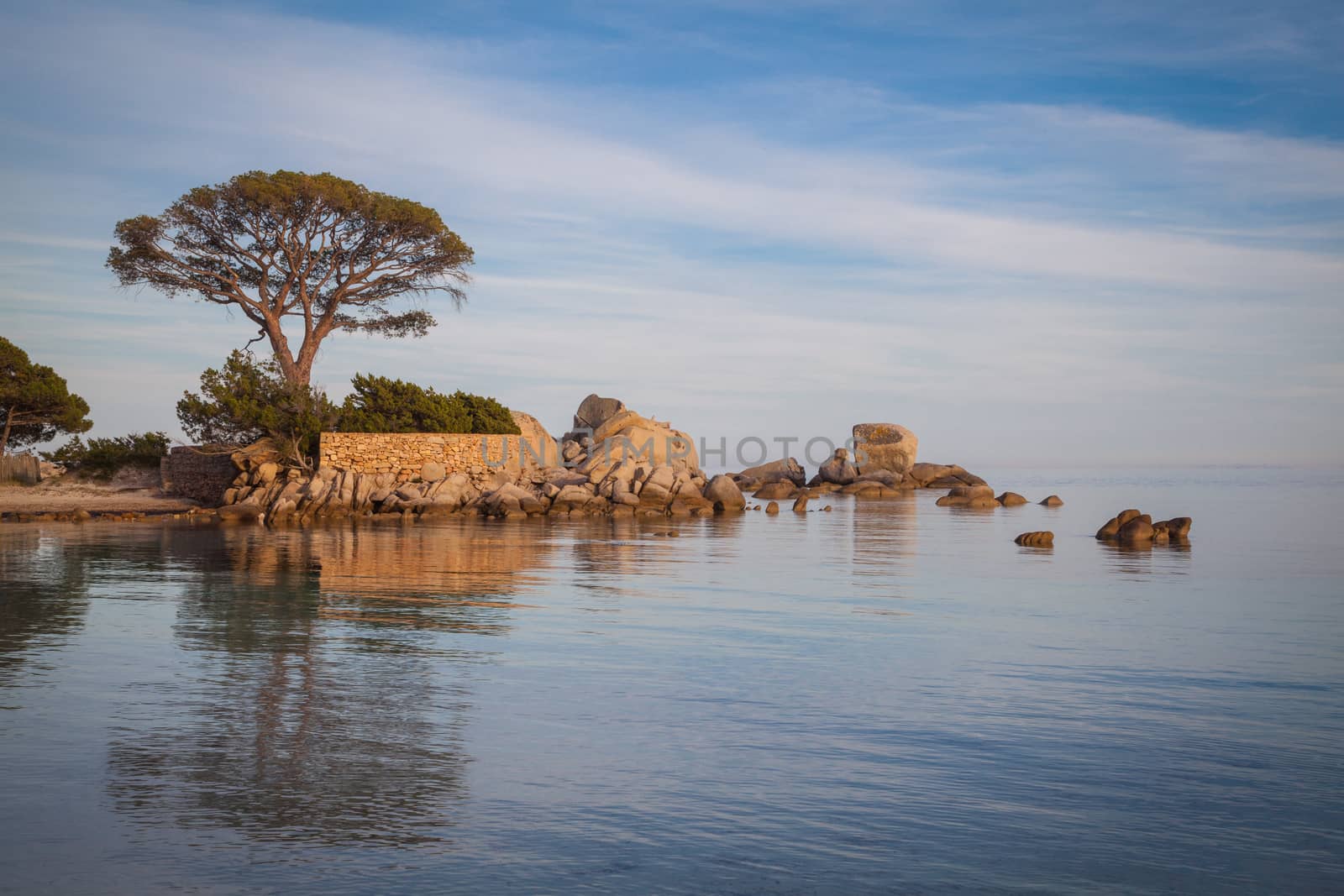 Trees and rocks at the beach of Palombaggia, the most famous beach of Corsica