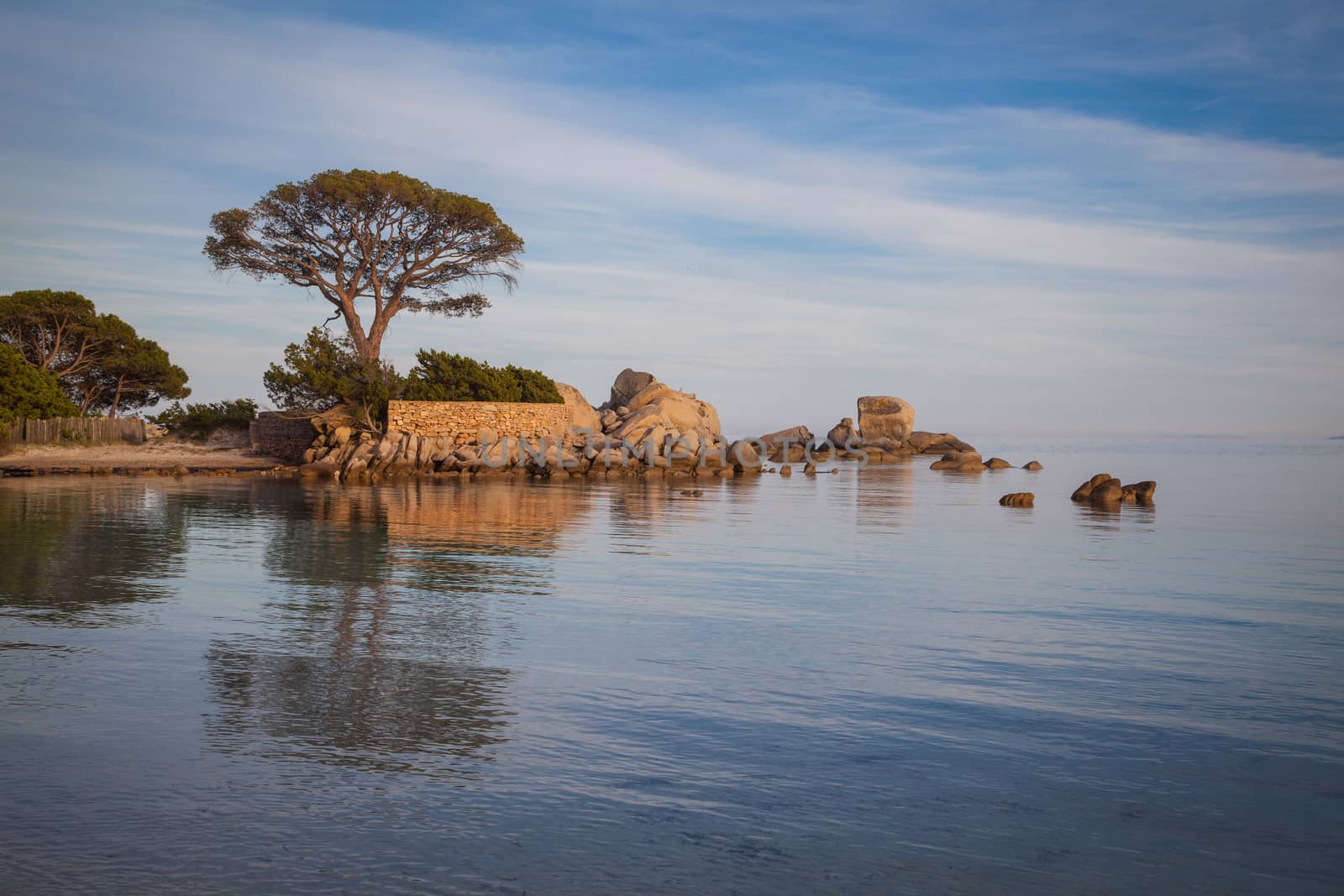 Trees and rocks at the beach of Palombaggia, the most famous beach of Corsica