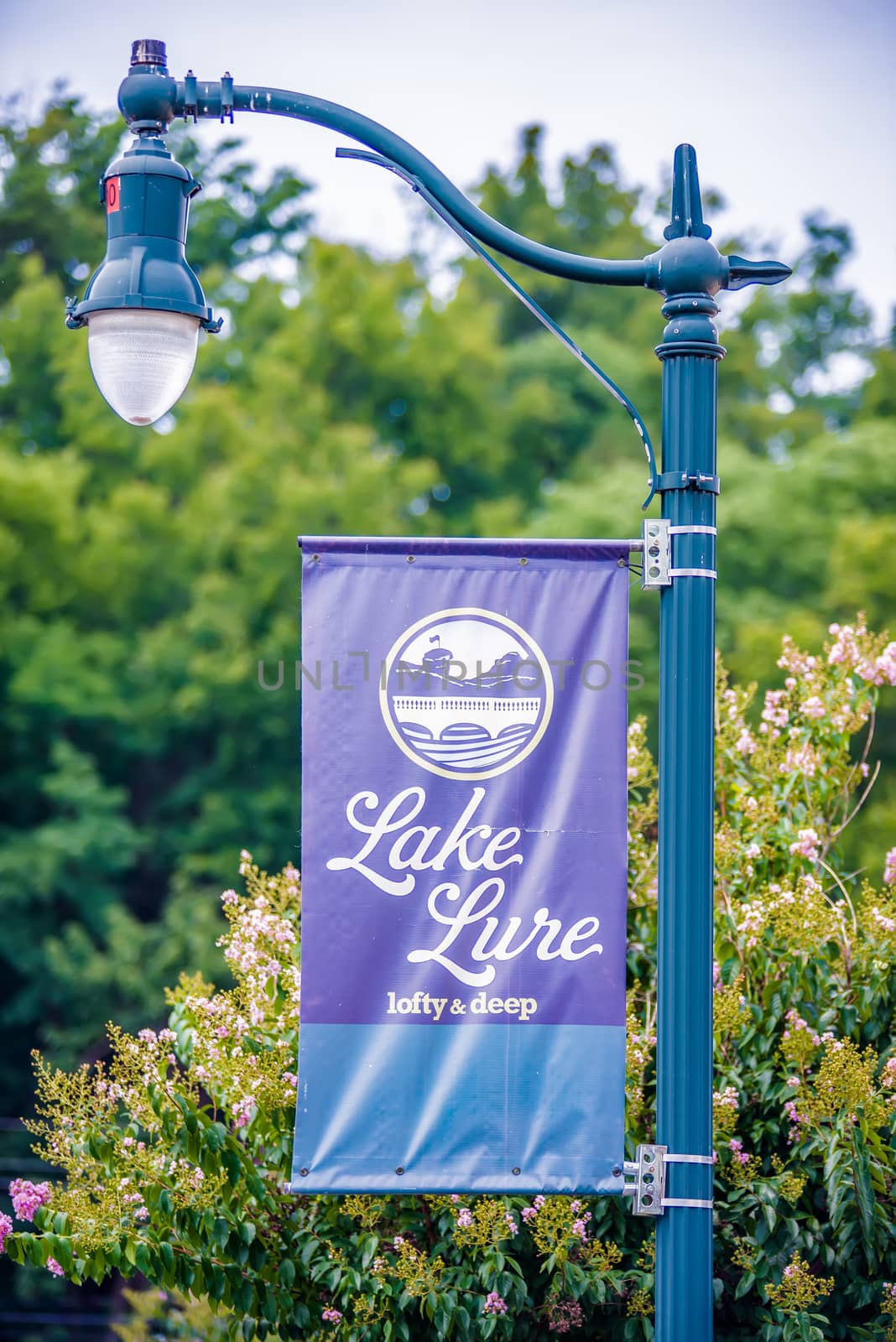 scenery around lake lure north carolina